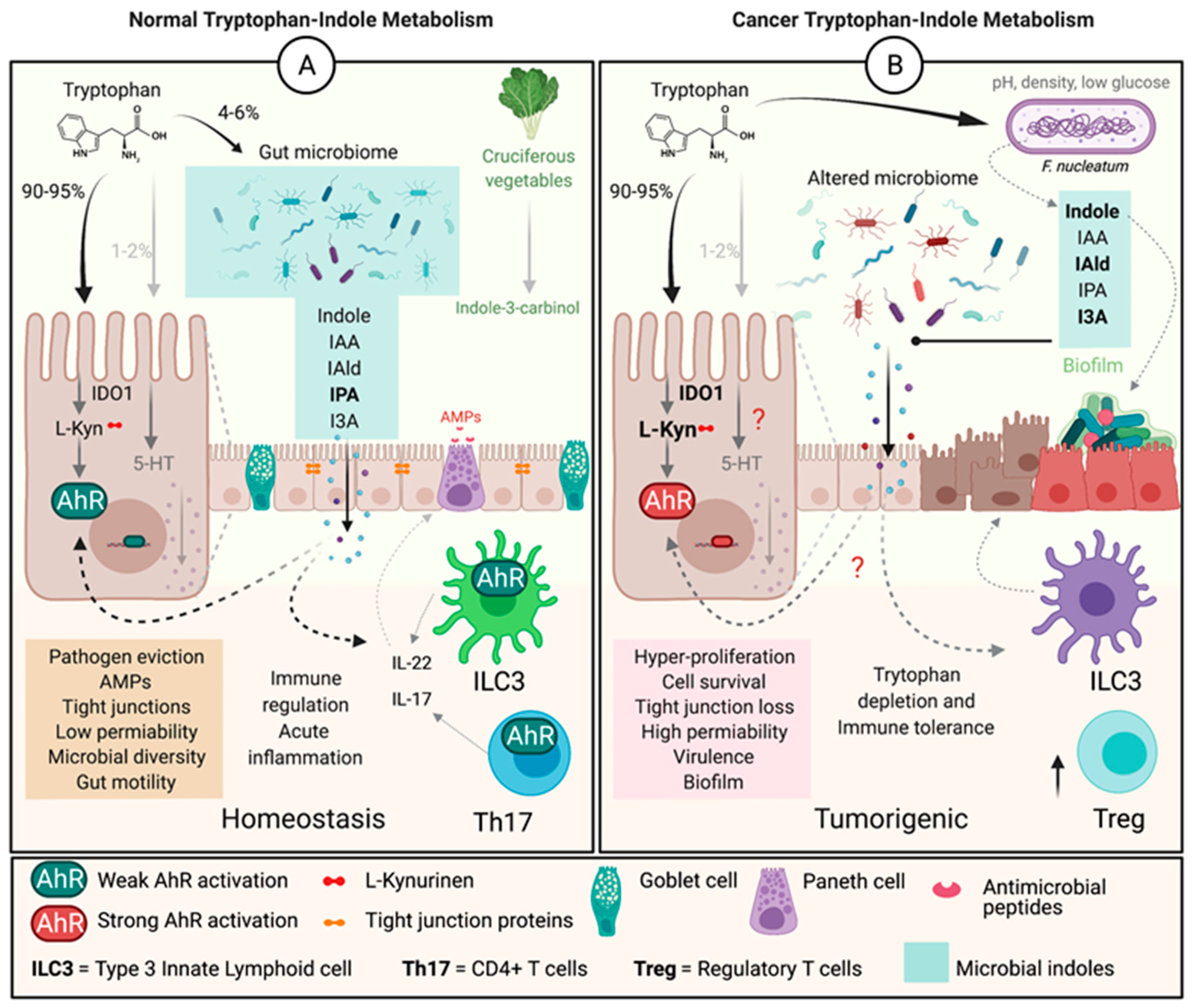 Nutrients 13 01189 g002