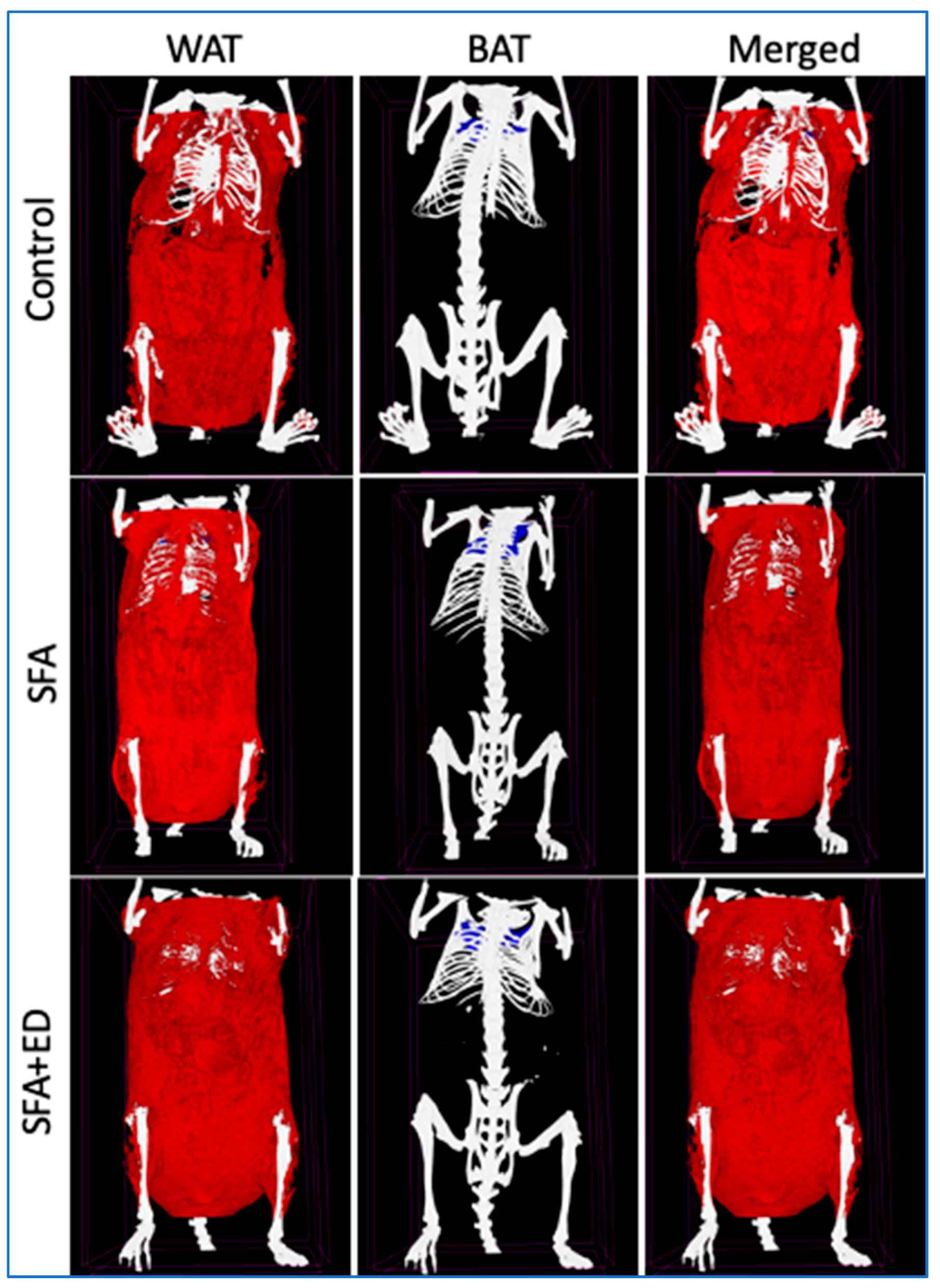 Nutrients 13 01202 g003