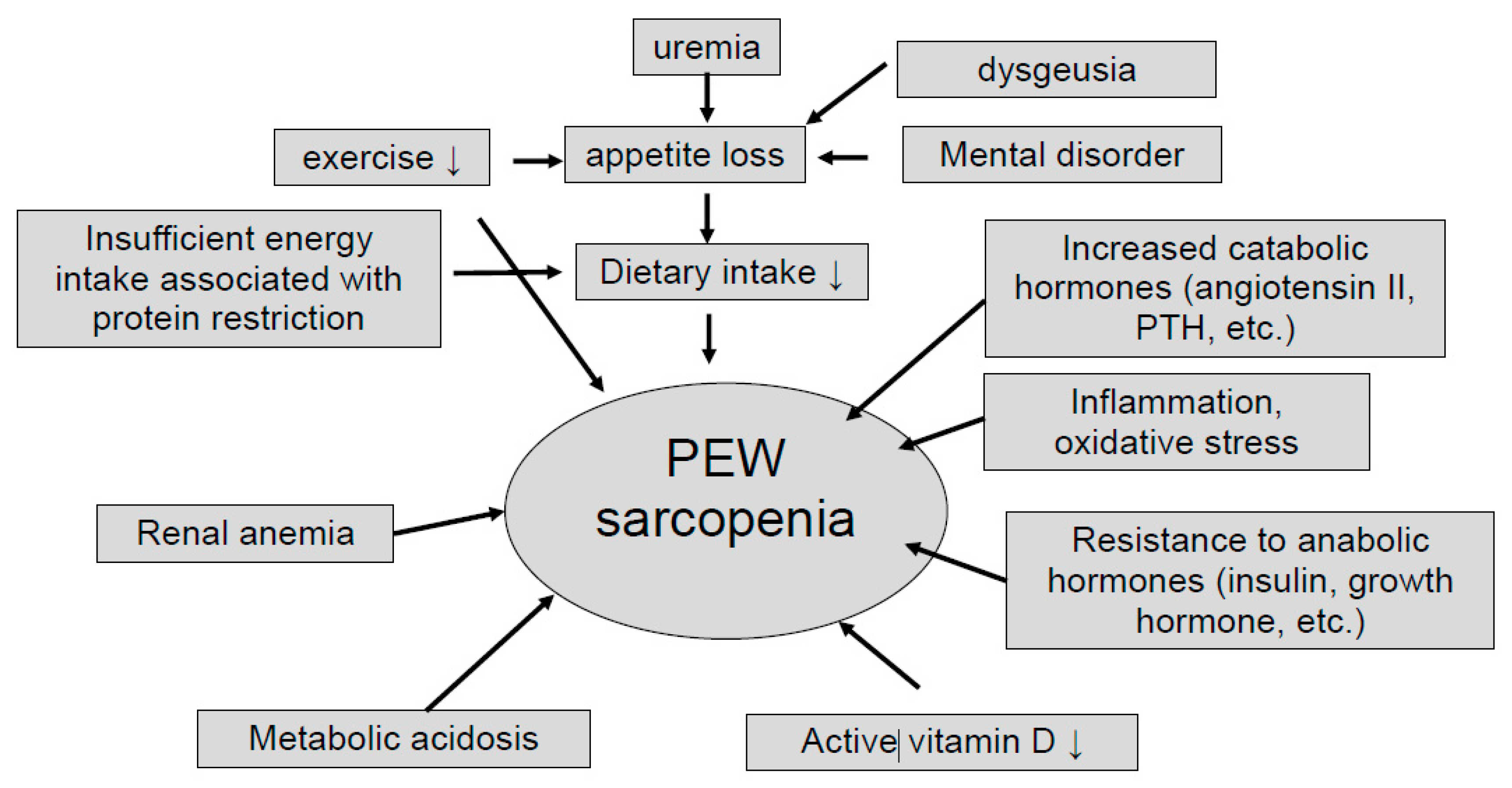 Nutrients 13 01205 g001