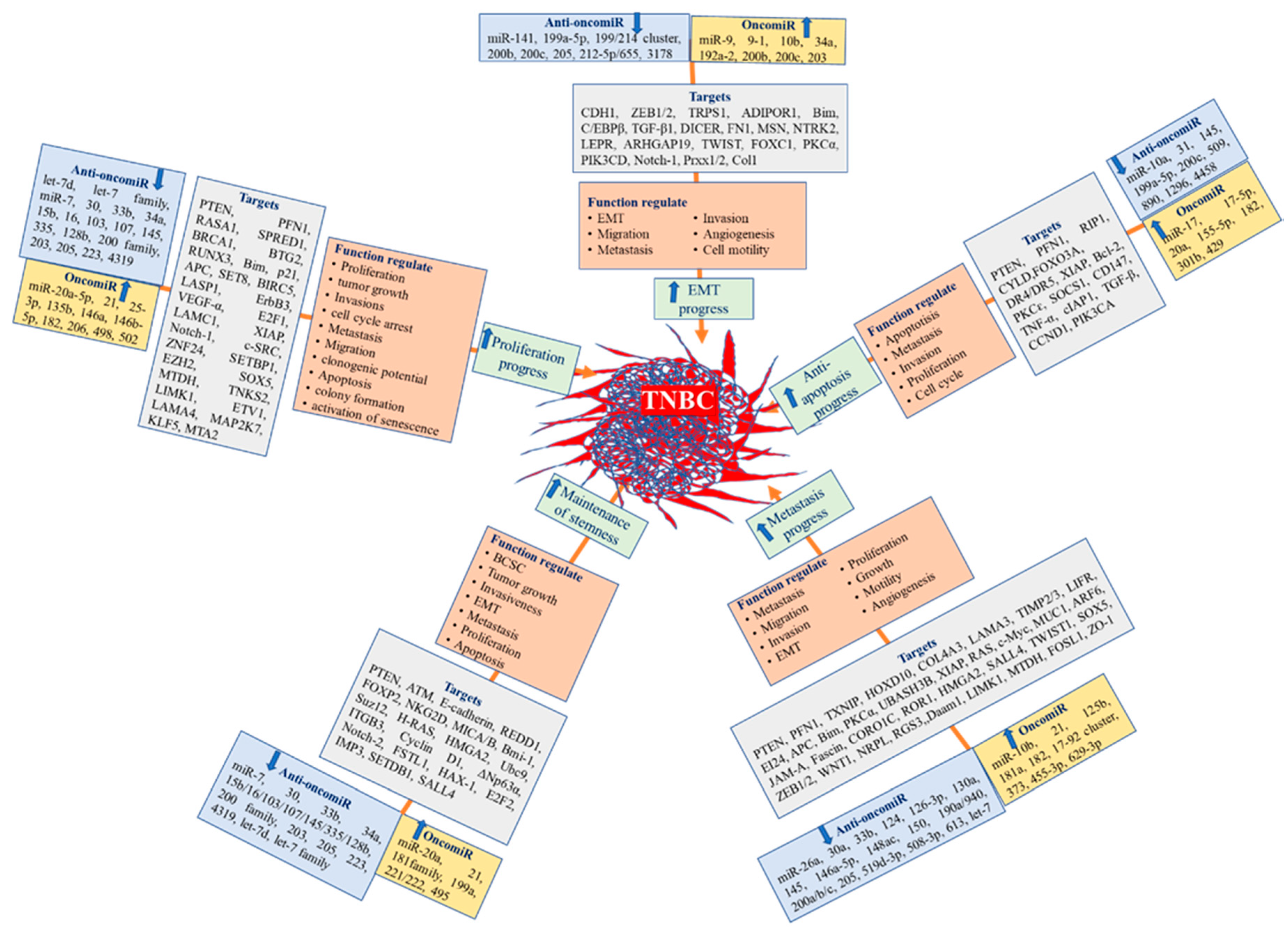 Nutrients 13 01212 g002