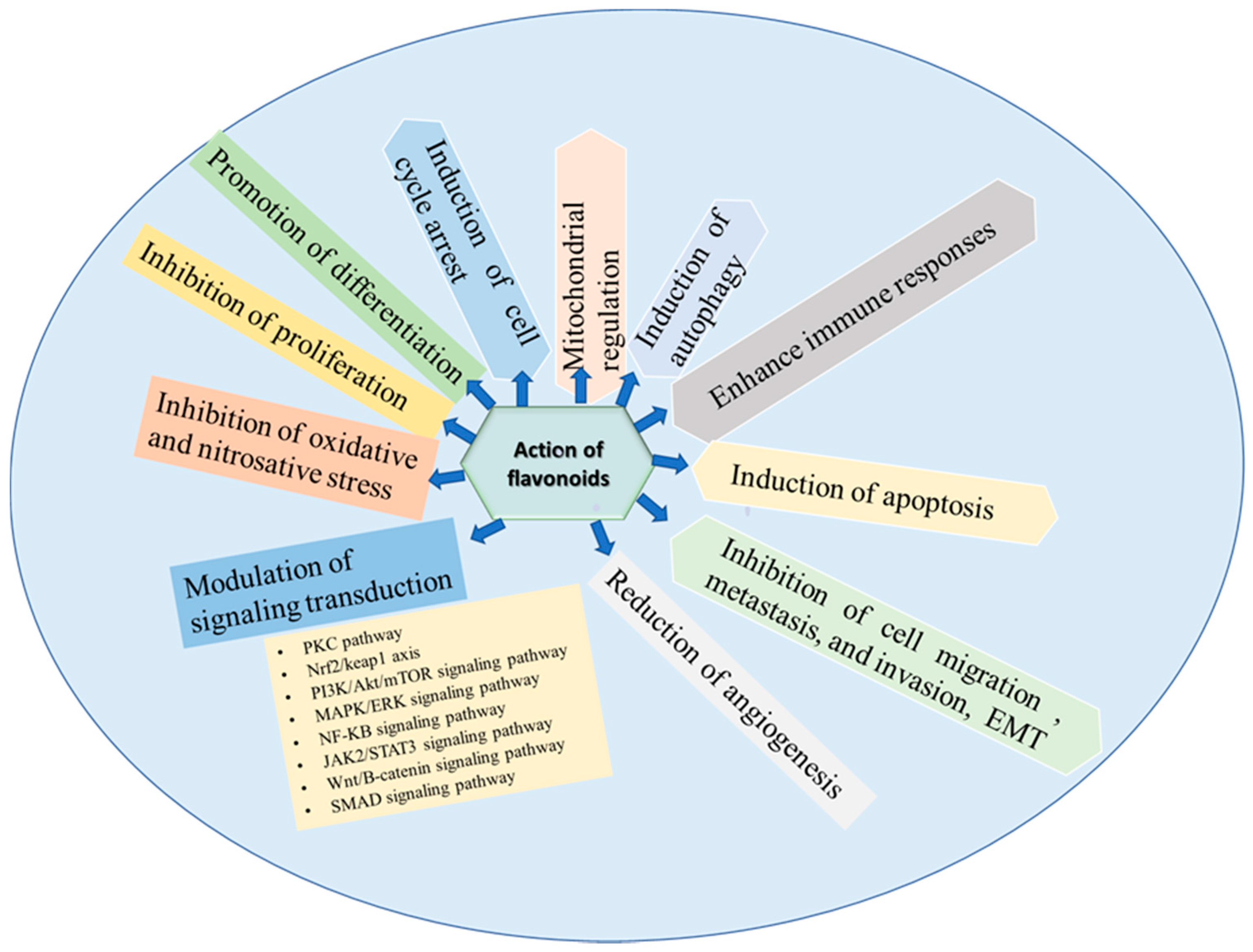 Nutrients 13 01212 g007