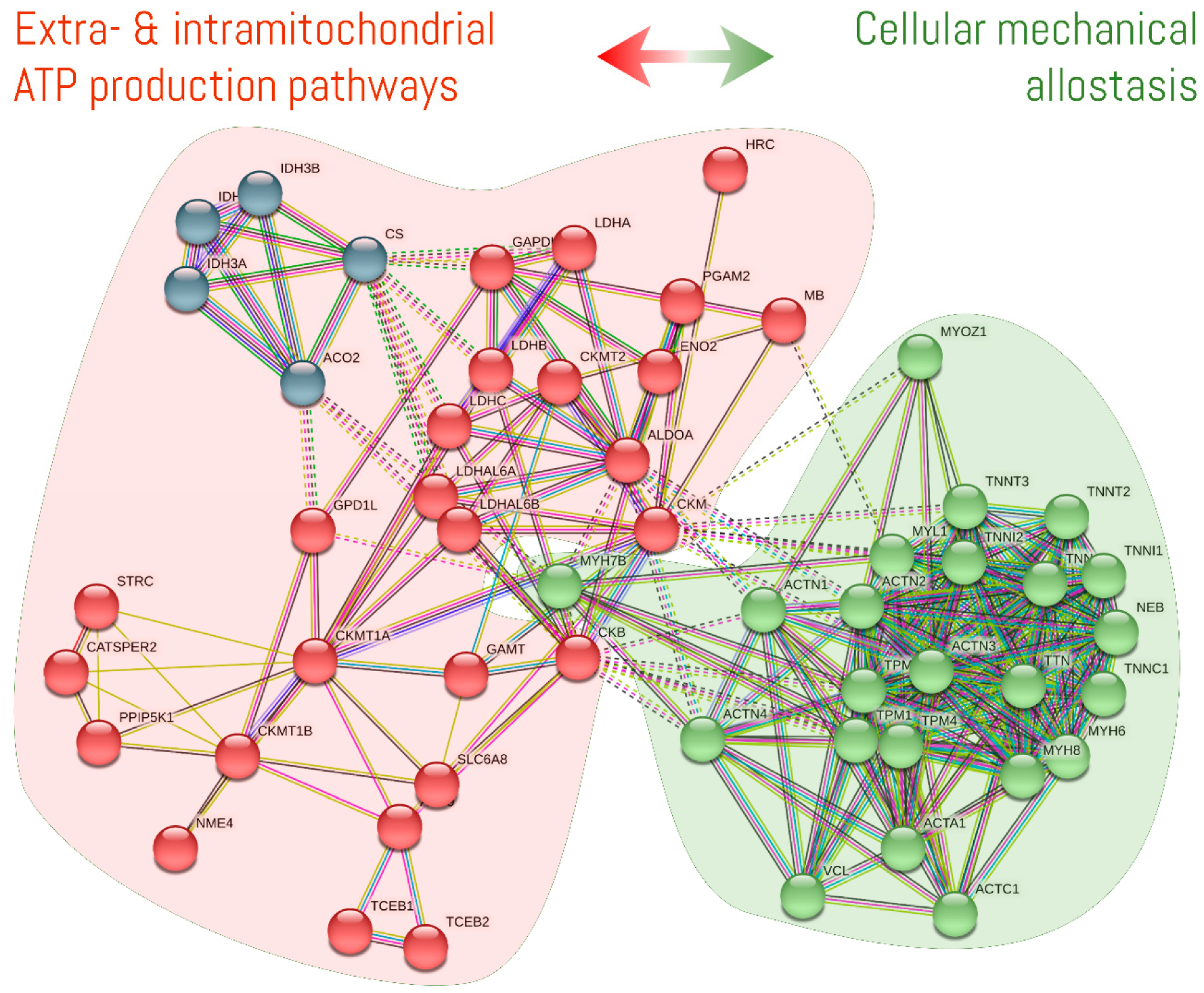 Nutrients 13 01238 g002 Nutrients 13 01238 g002
