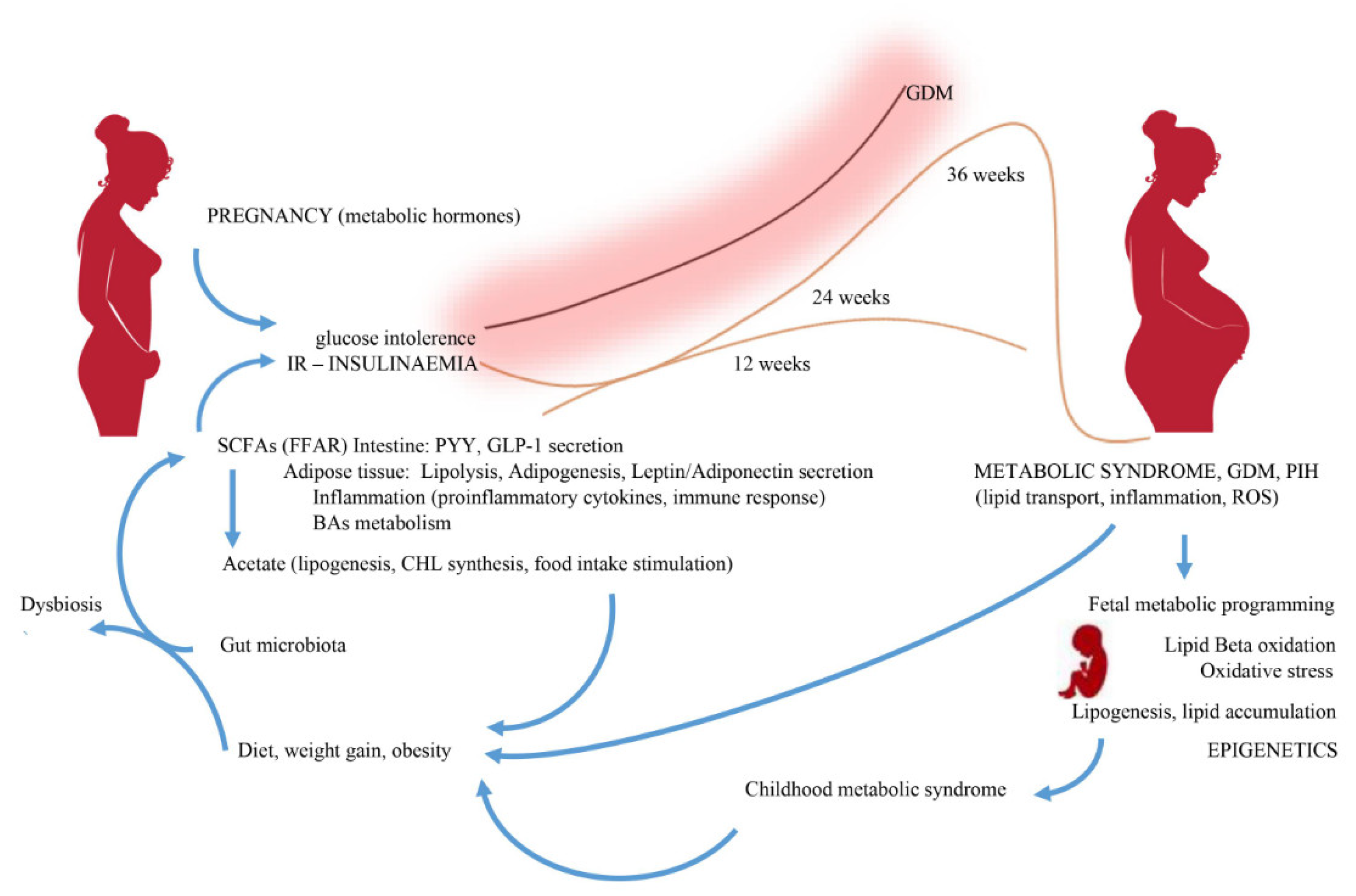 Nutrients 13 01244 g001