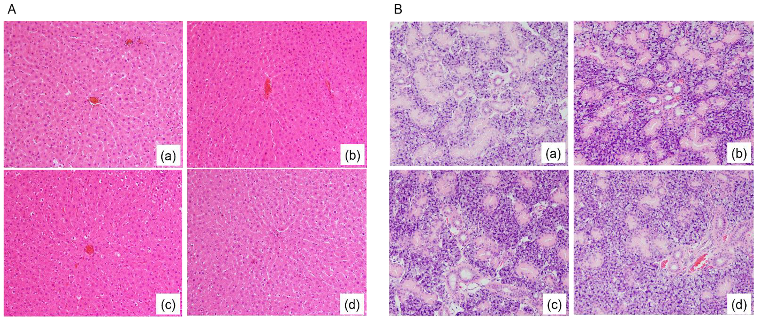 Nutrients 13 01252 g001