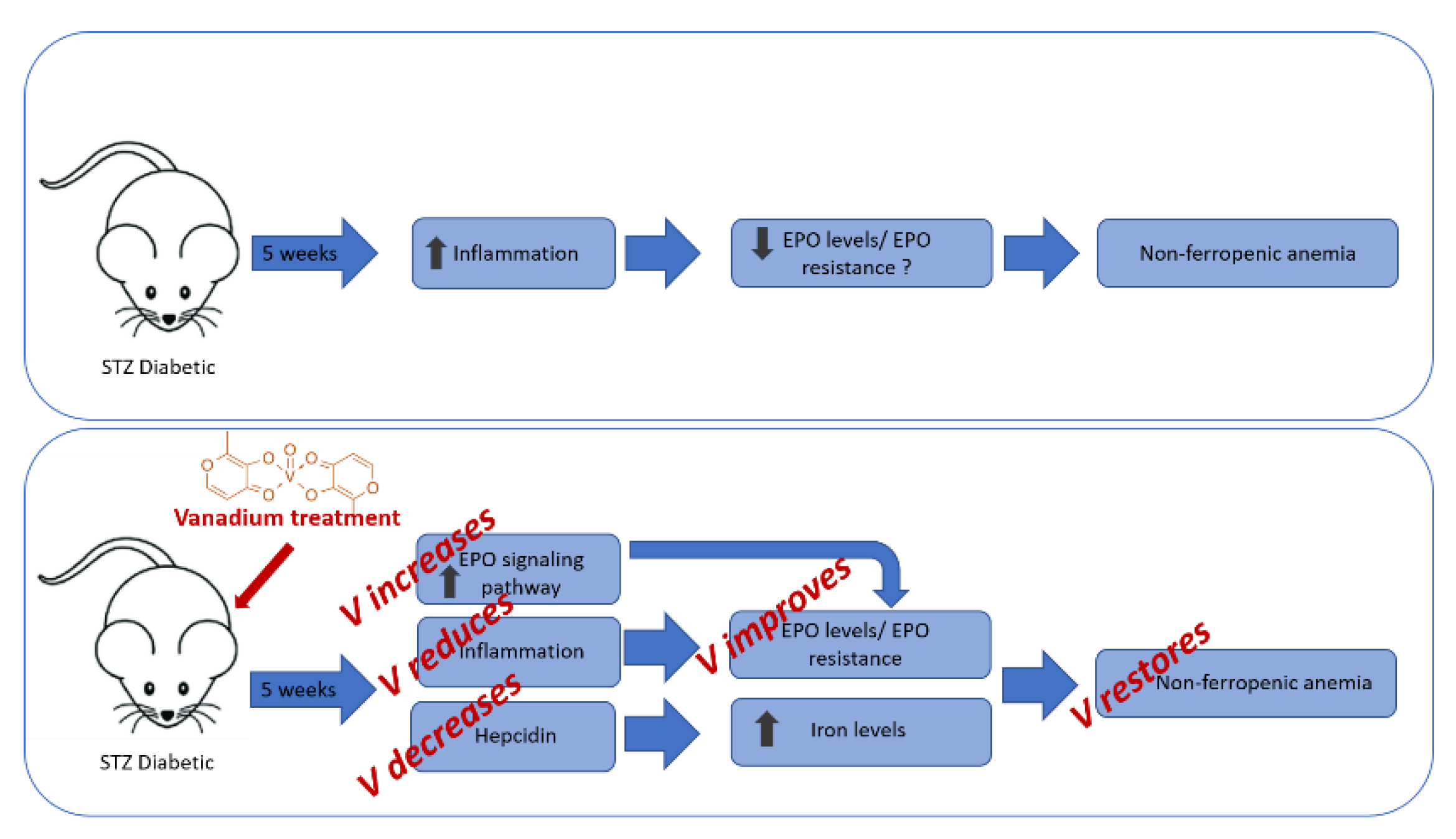 Nutrients 13 01256 g003