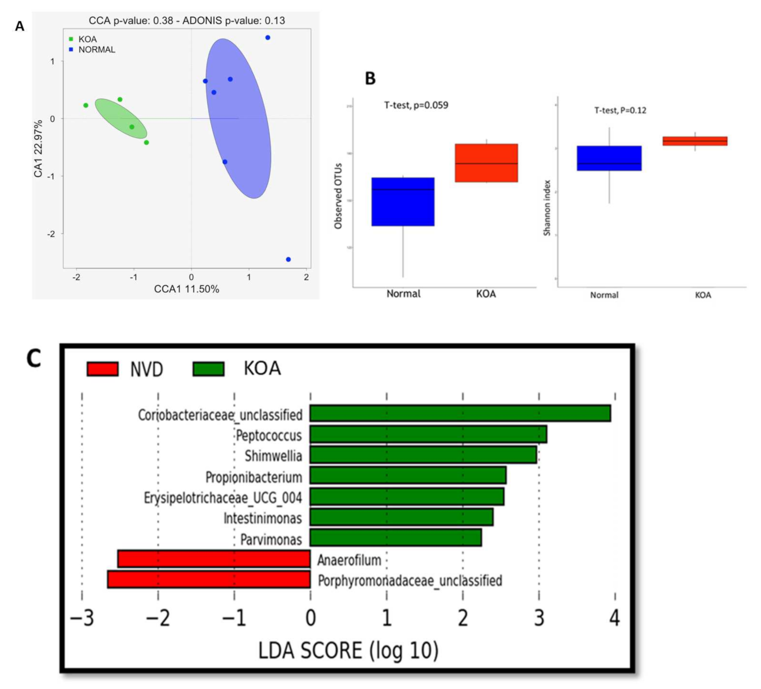 Nutrients 13 01272 g002