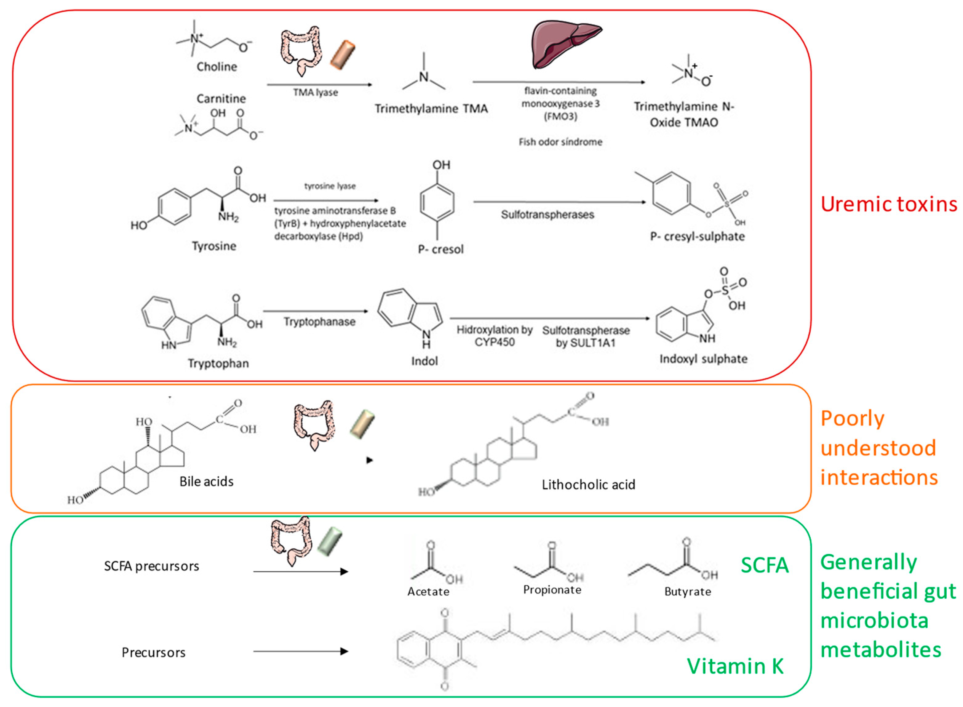 Nutrients 13 01273 g001