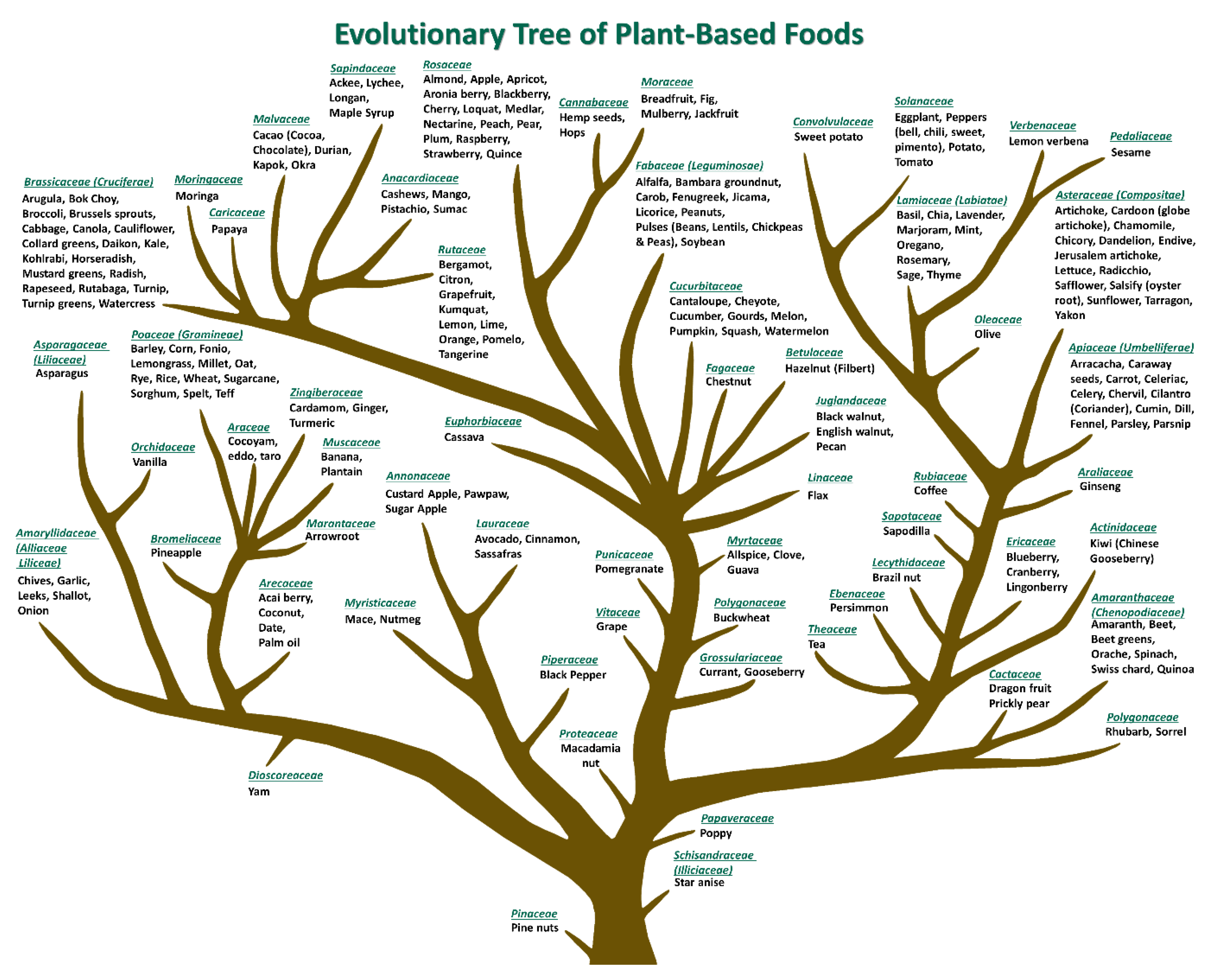 Nutrients 13 01295 g001
