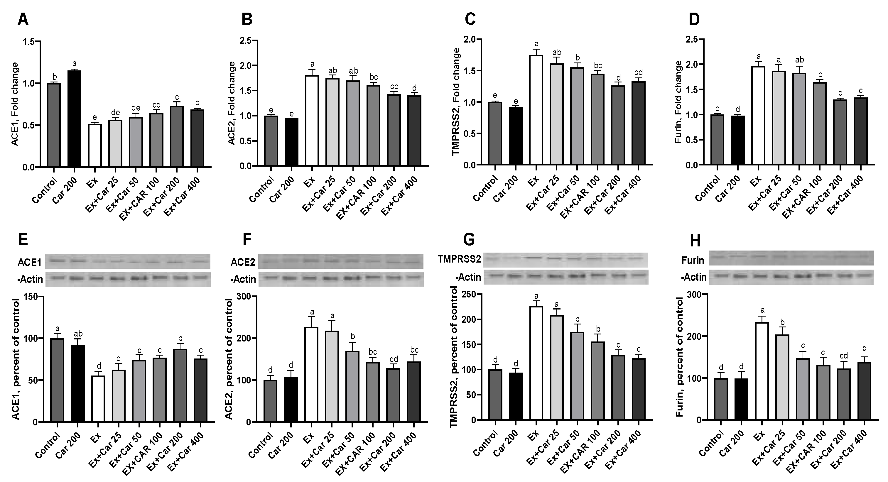 Nutrients 13 01297 g001