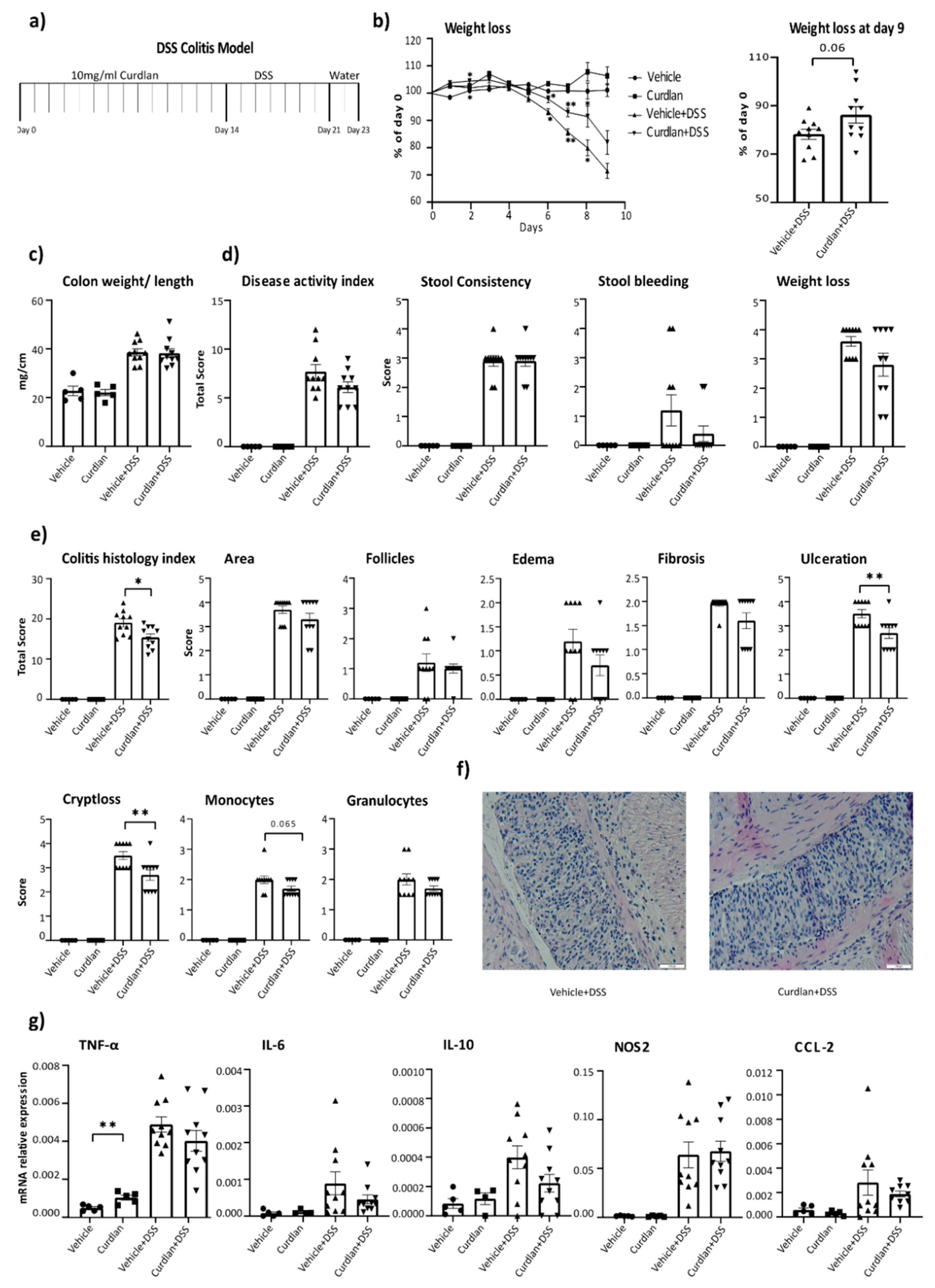 Nutrients 13 01305 g001 Nutrients 13 01305 g001