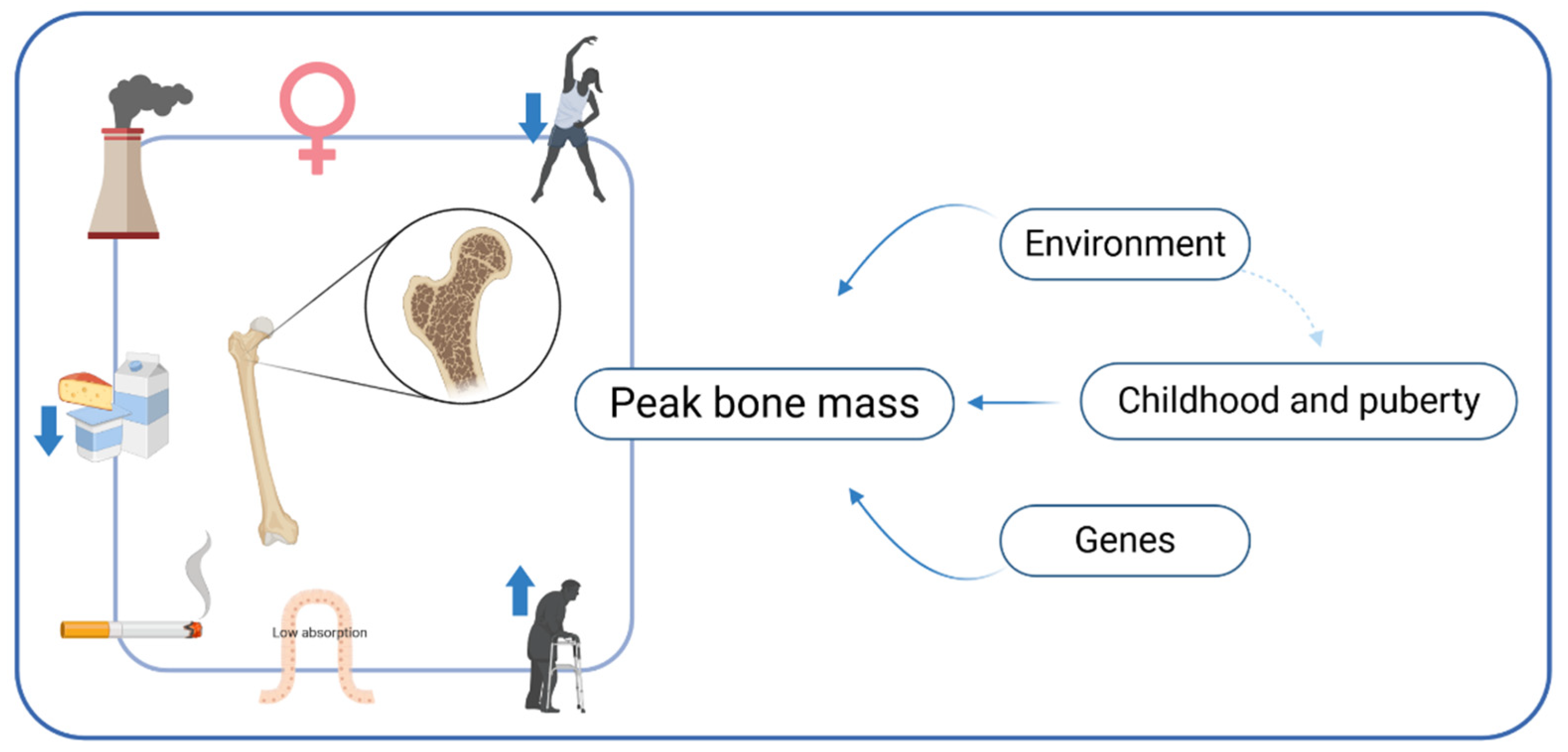 Nutrients 13 01329 g001