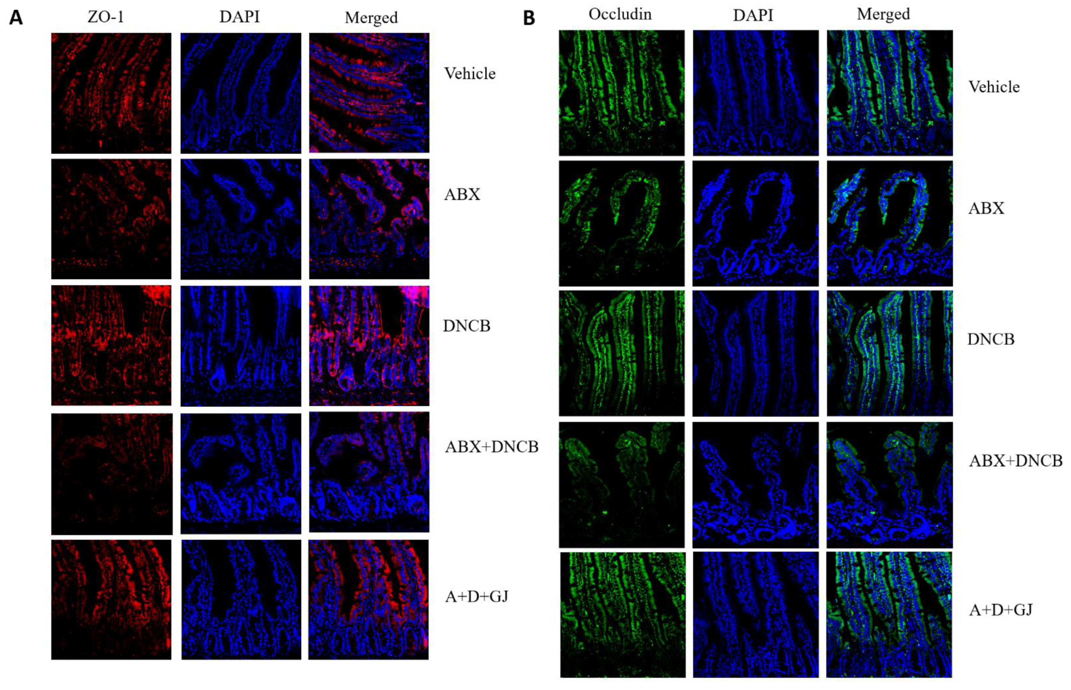 Nutrients 13 01349 g006
