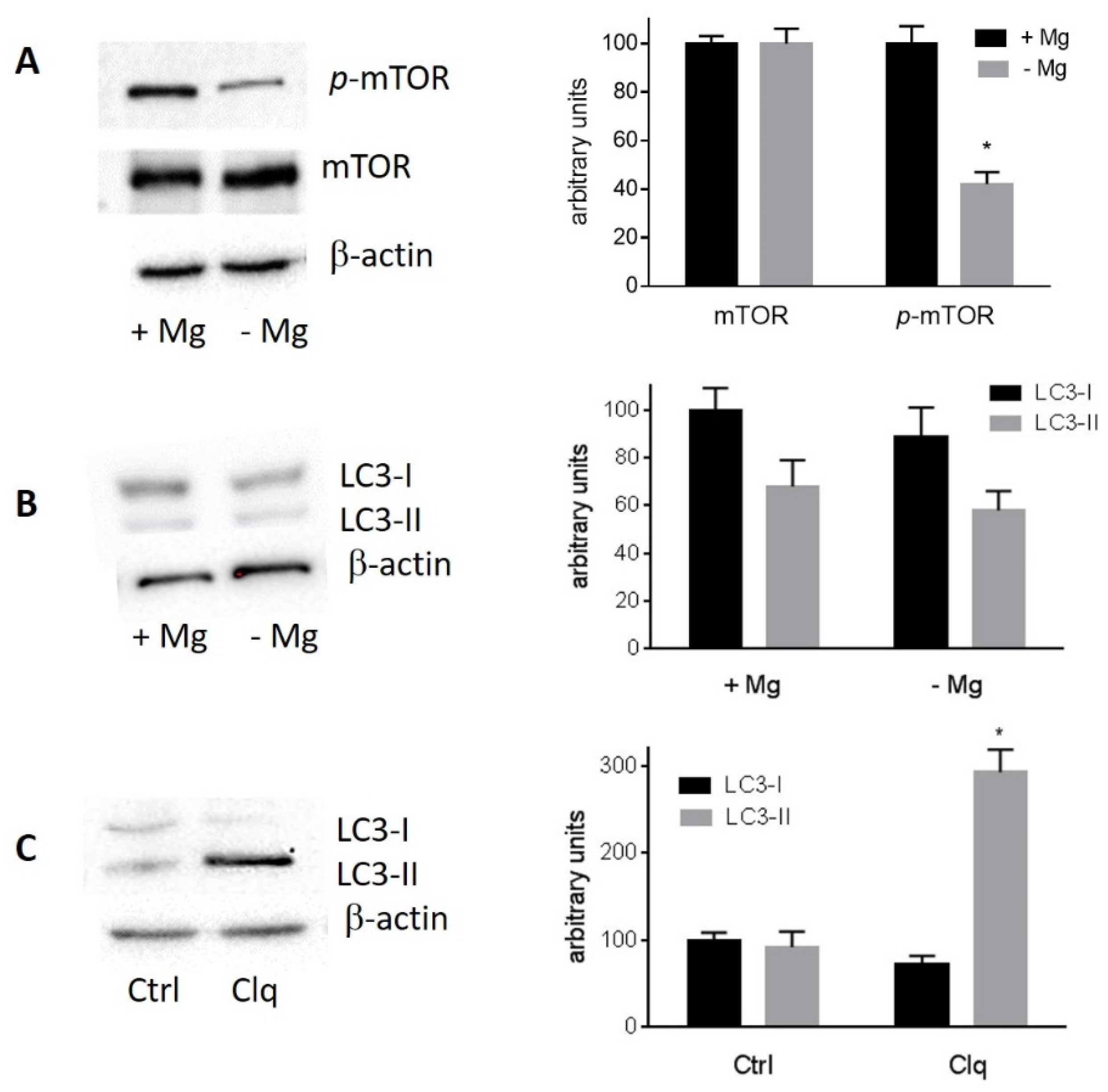 Nutrients 13 01376 g005 Nutrients 13 01376 g005