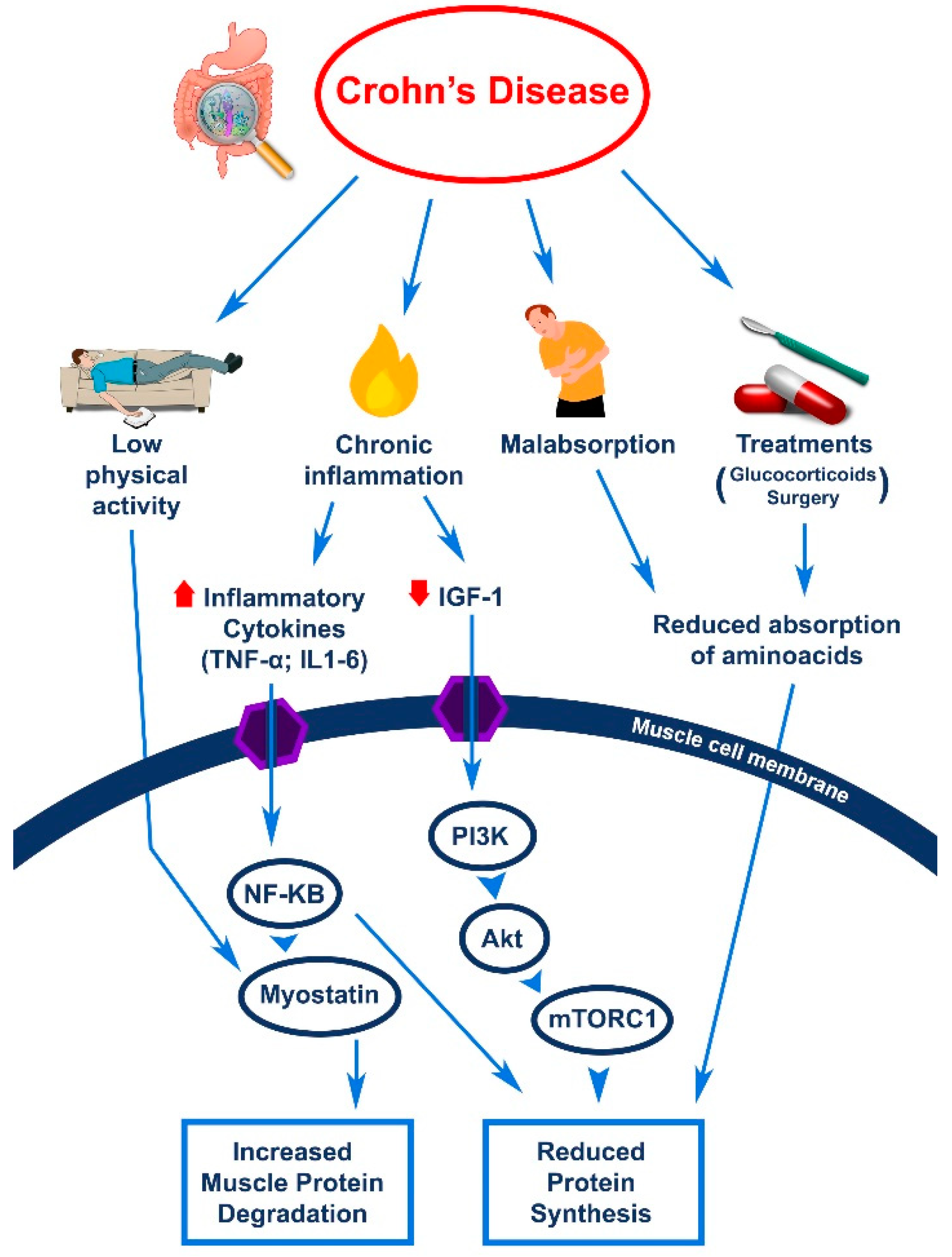 Nutrients 13 01378 g001