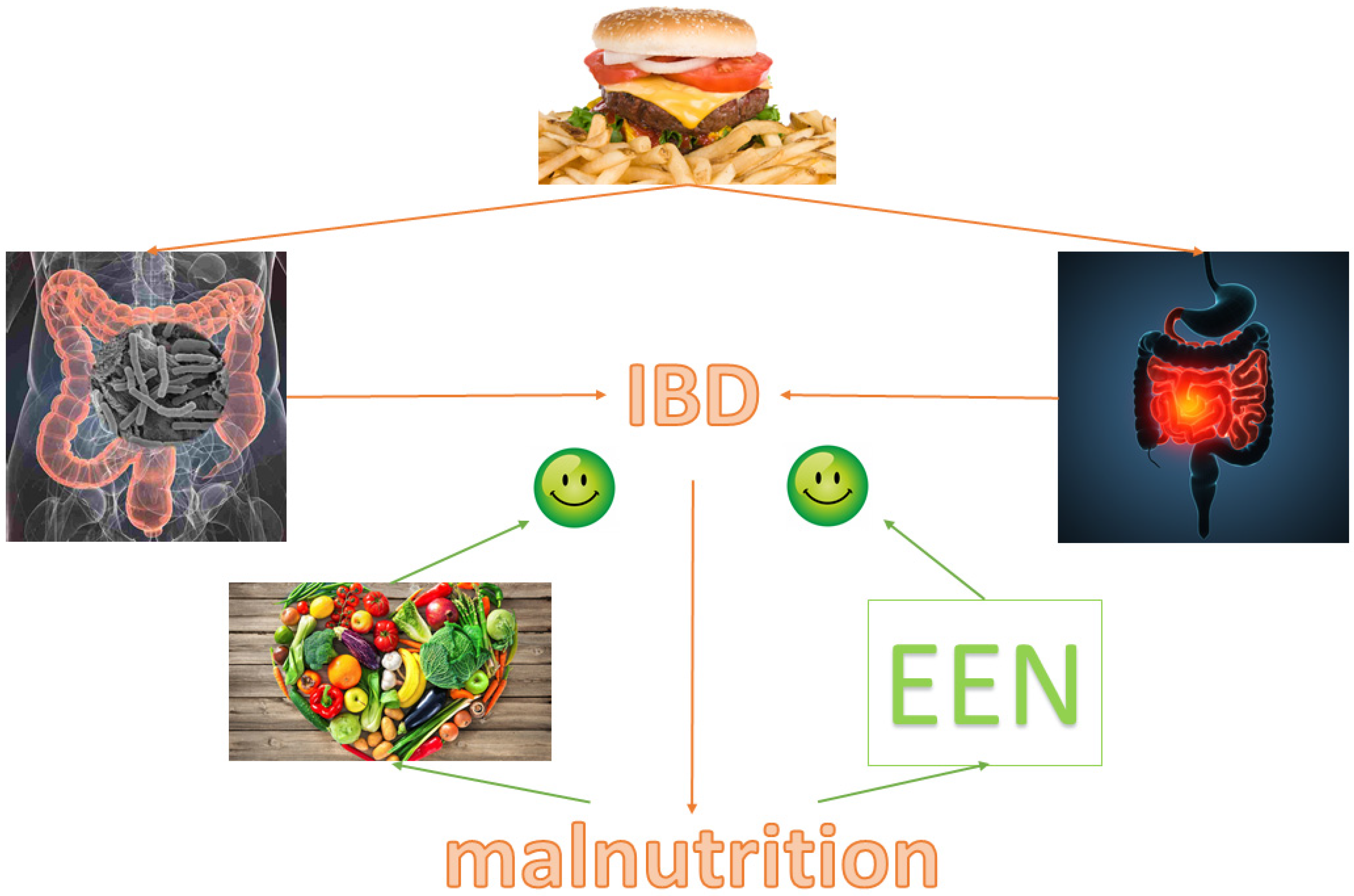 Nutrients 13 01387 g002 Nutrients 13 01387 g002