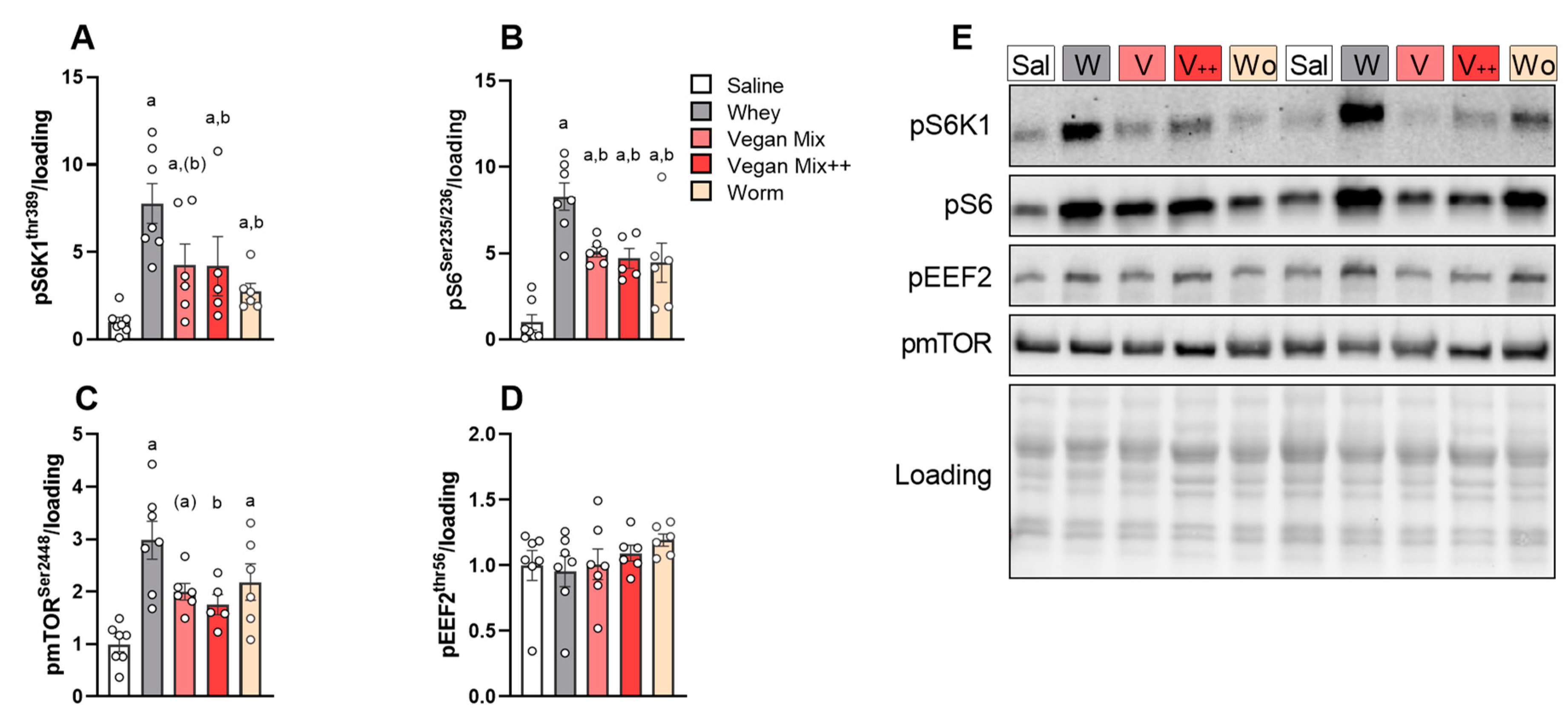 Nutrients 13 01396 g003