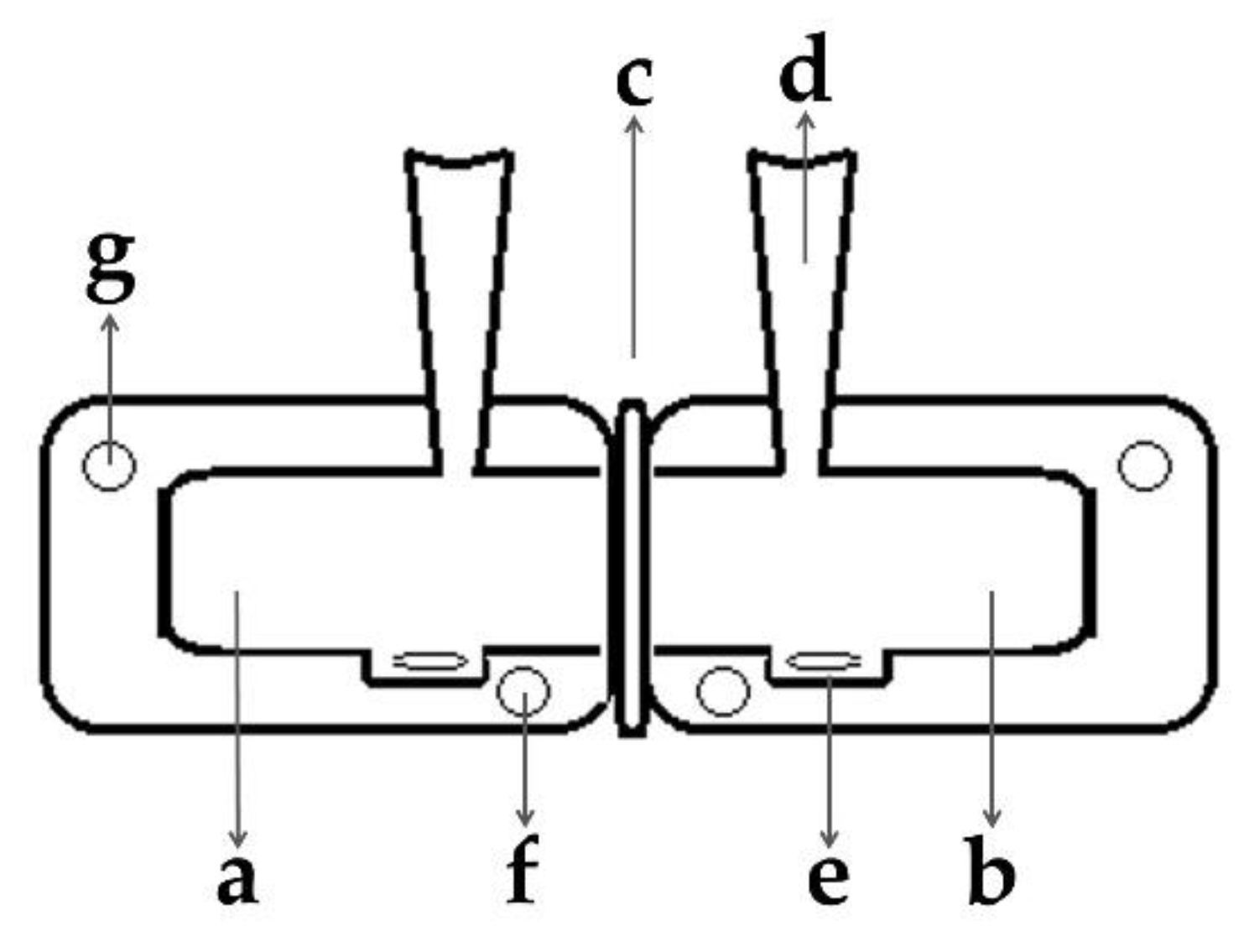 Nutrients 13 01398 g001