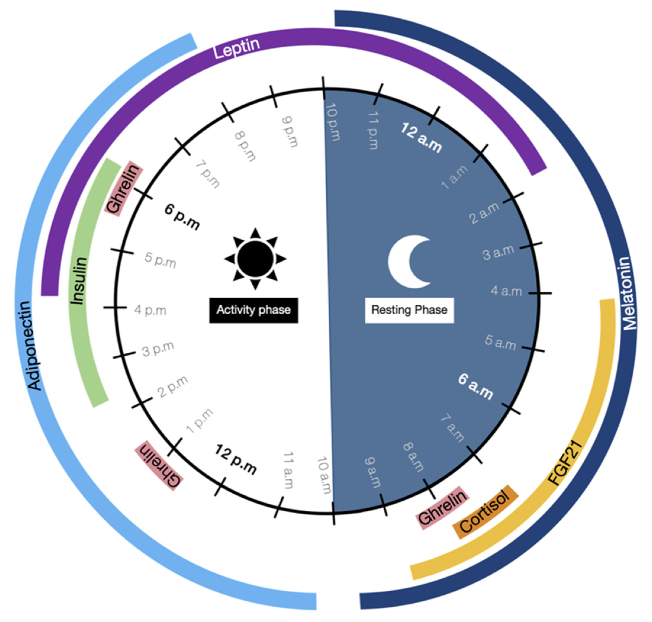 Nutrients 13 01405 g001