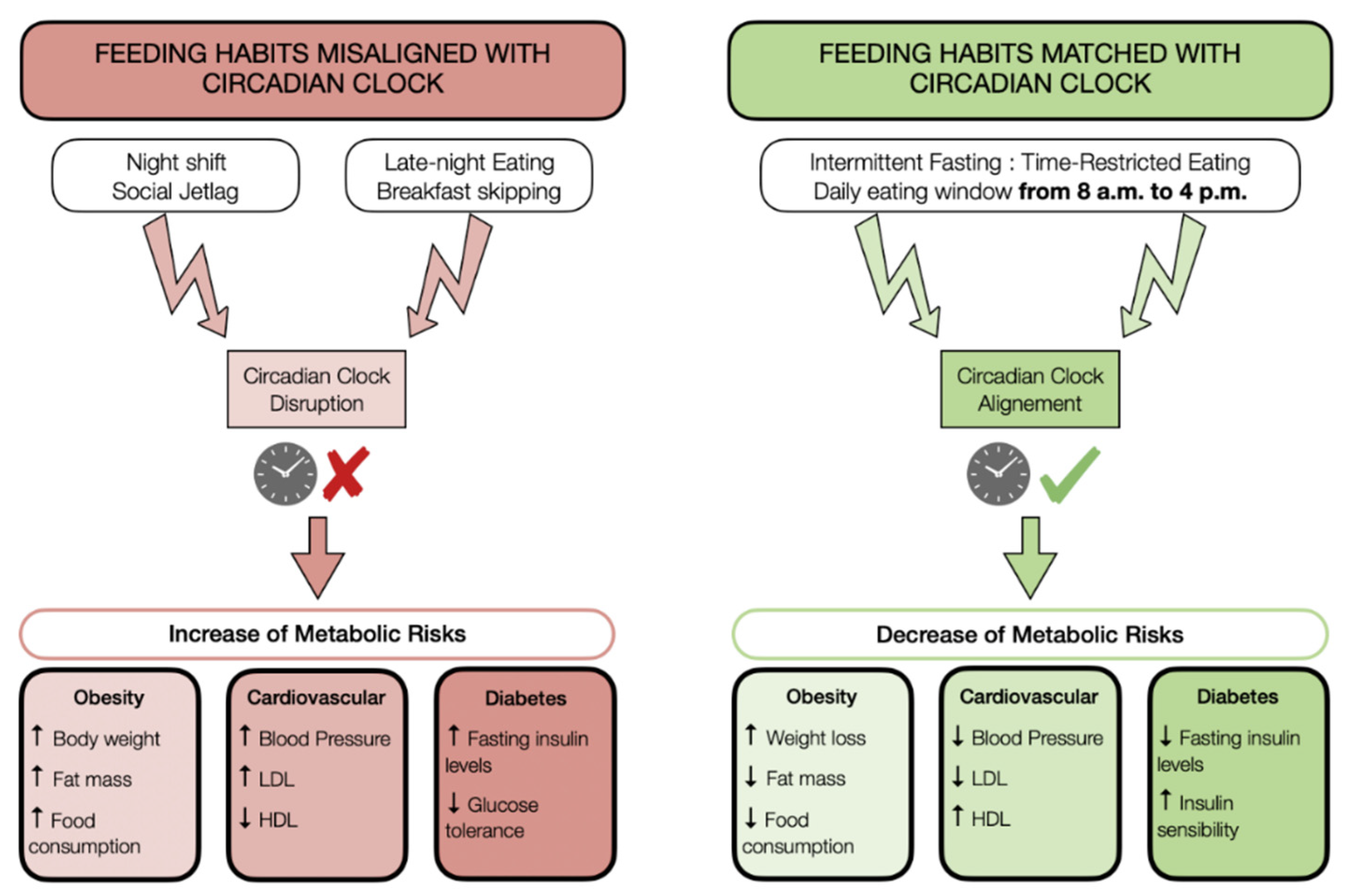 Nutrients 13 01405 g002