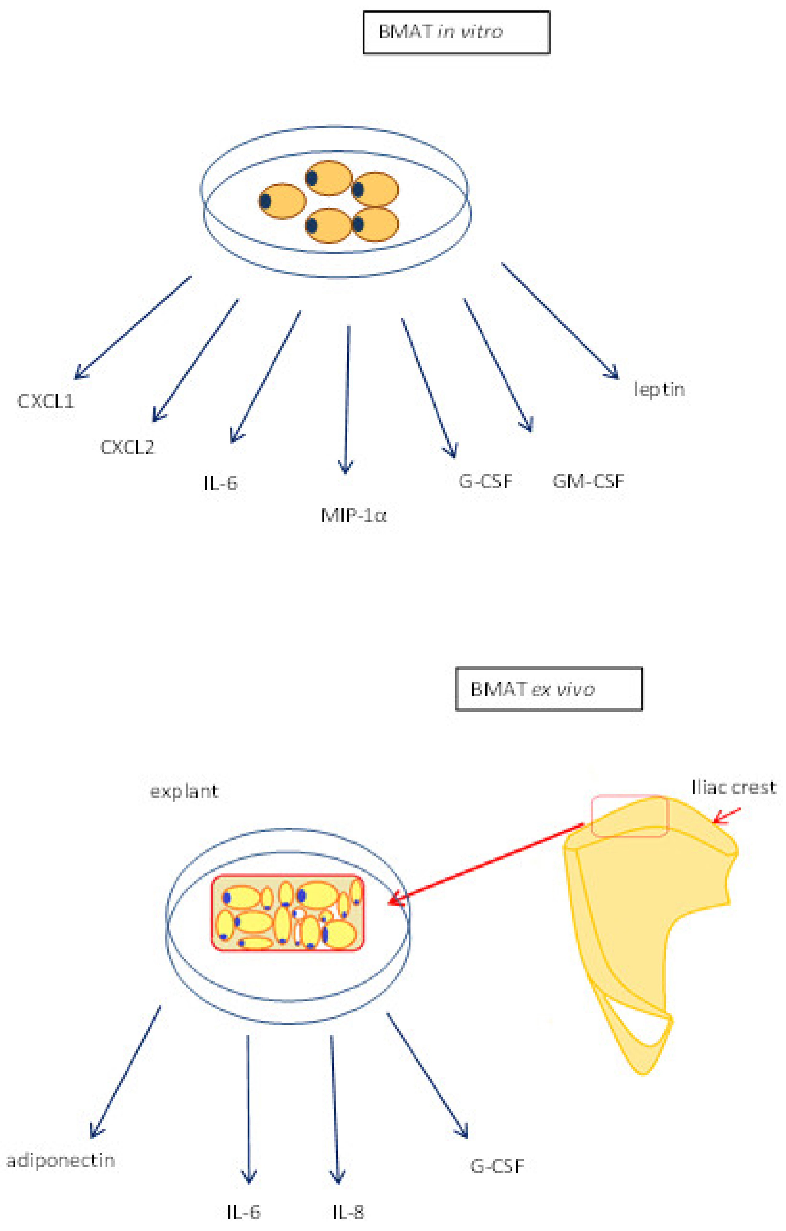 Nutrients 13 01412 g001
