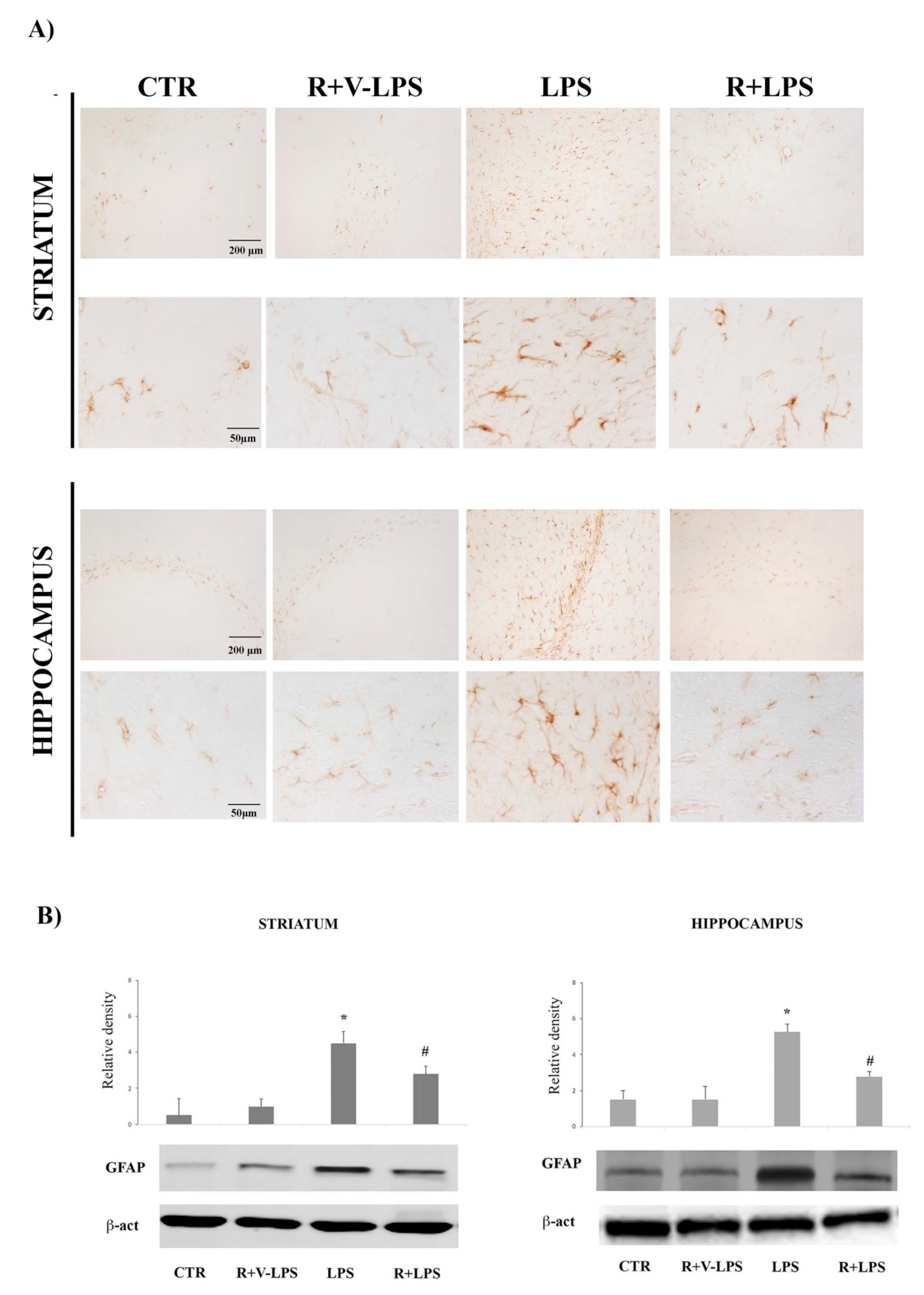 Nutrients 13 01418 g001 Nutrients 13 01418 g001