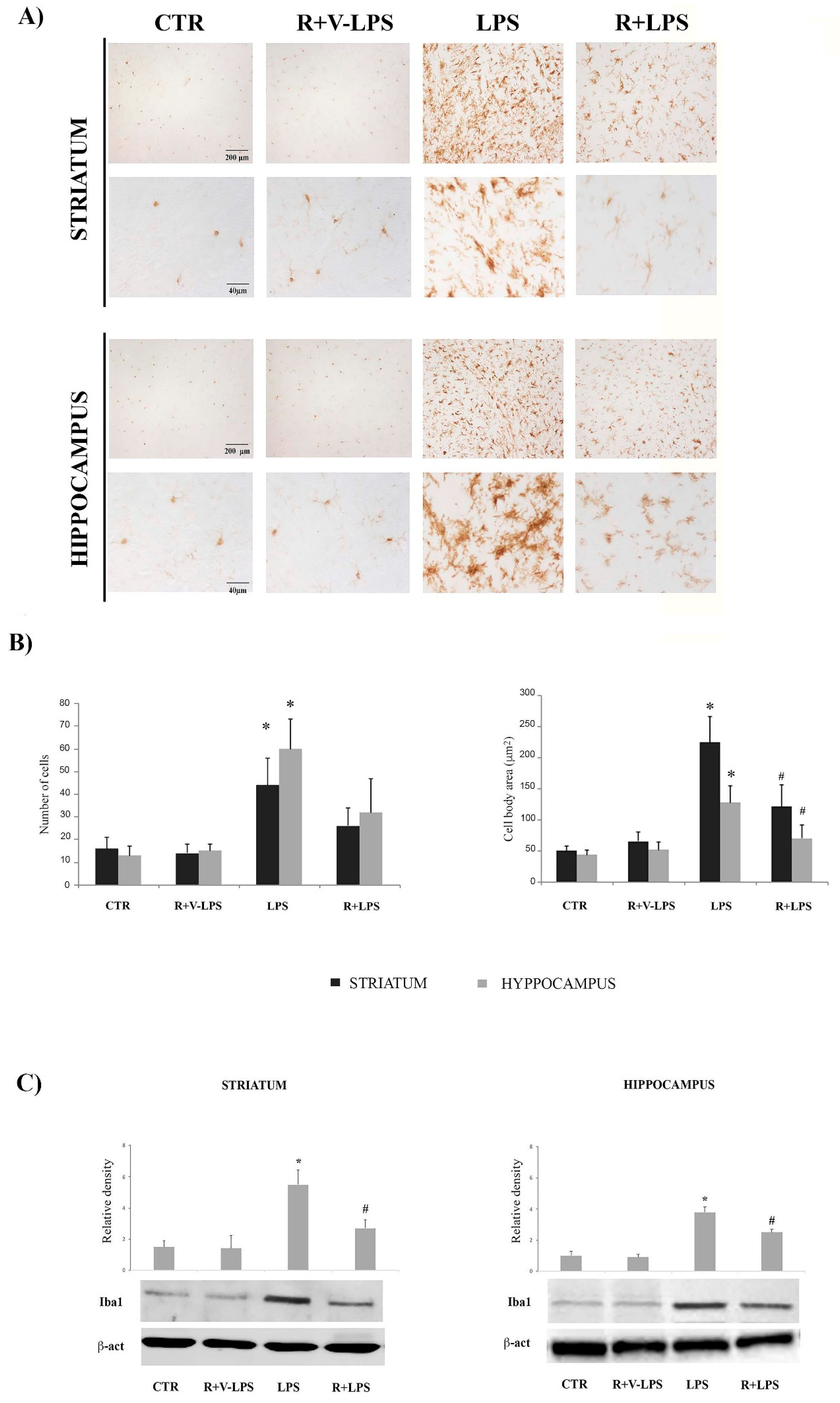 Nutrients 13 01418 g002 Nutrients 13 01418 g002