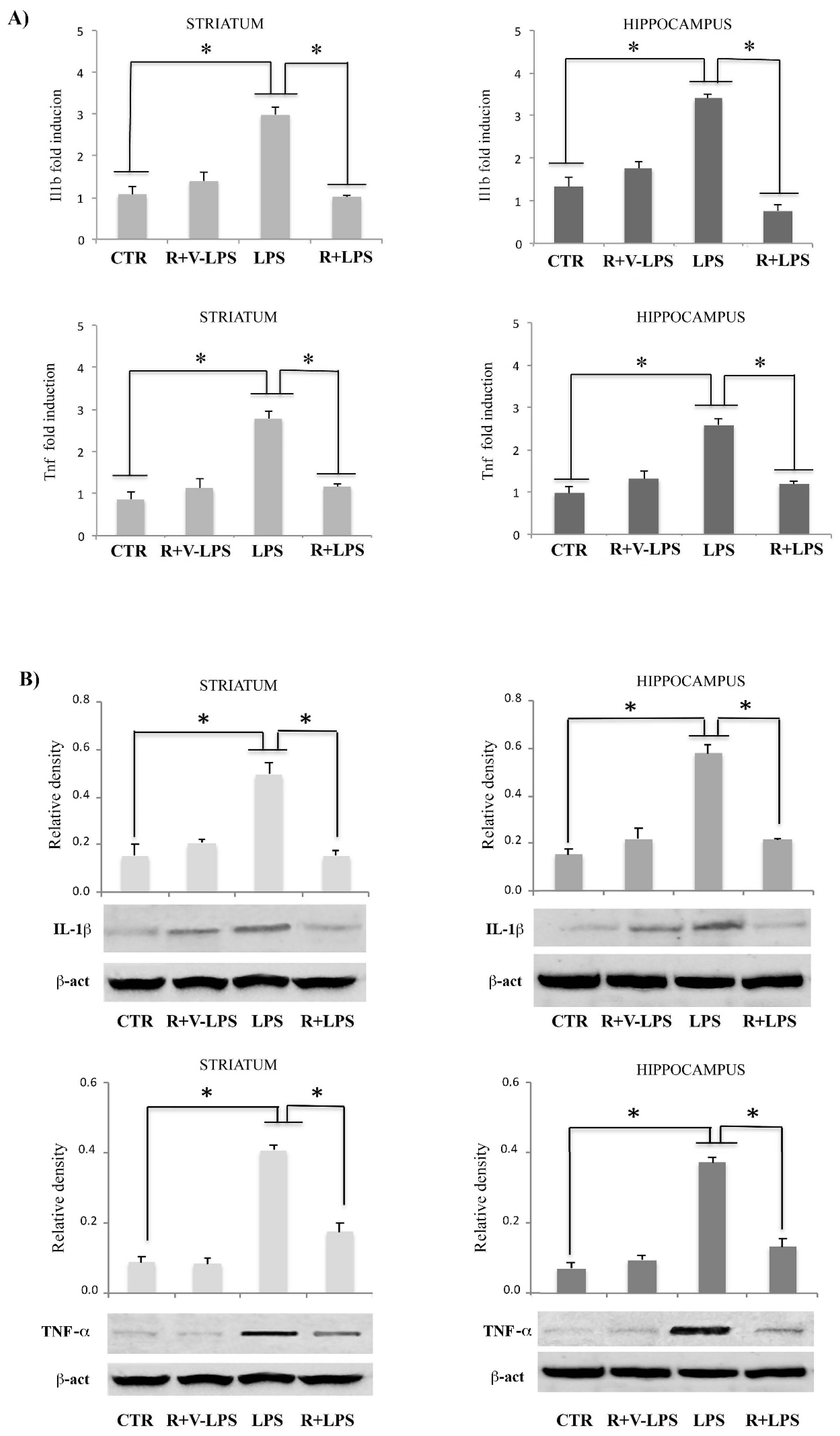 Nutrients 13 01418 g003 Nutrients 13 01418 g003