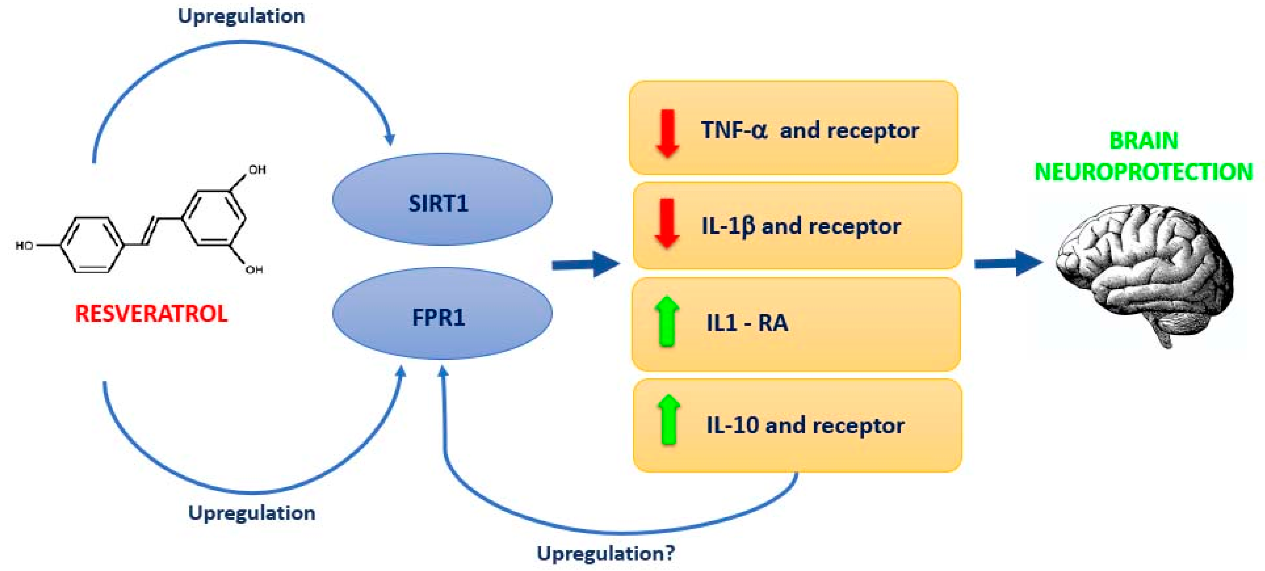 Nutrients 13 01418 g007 Nutrients 13 01418 g007