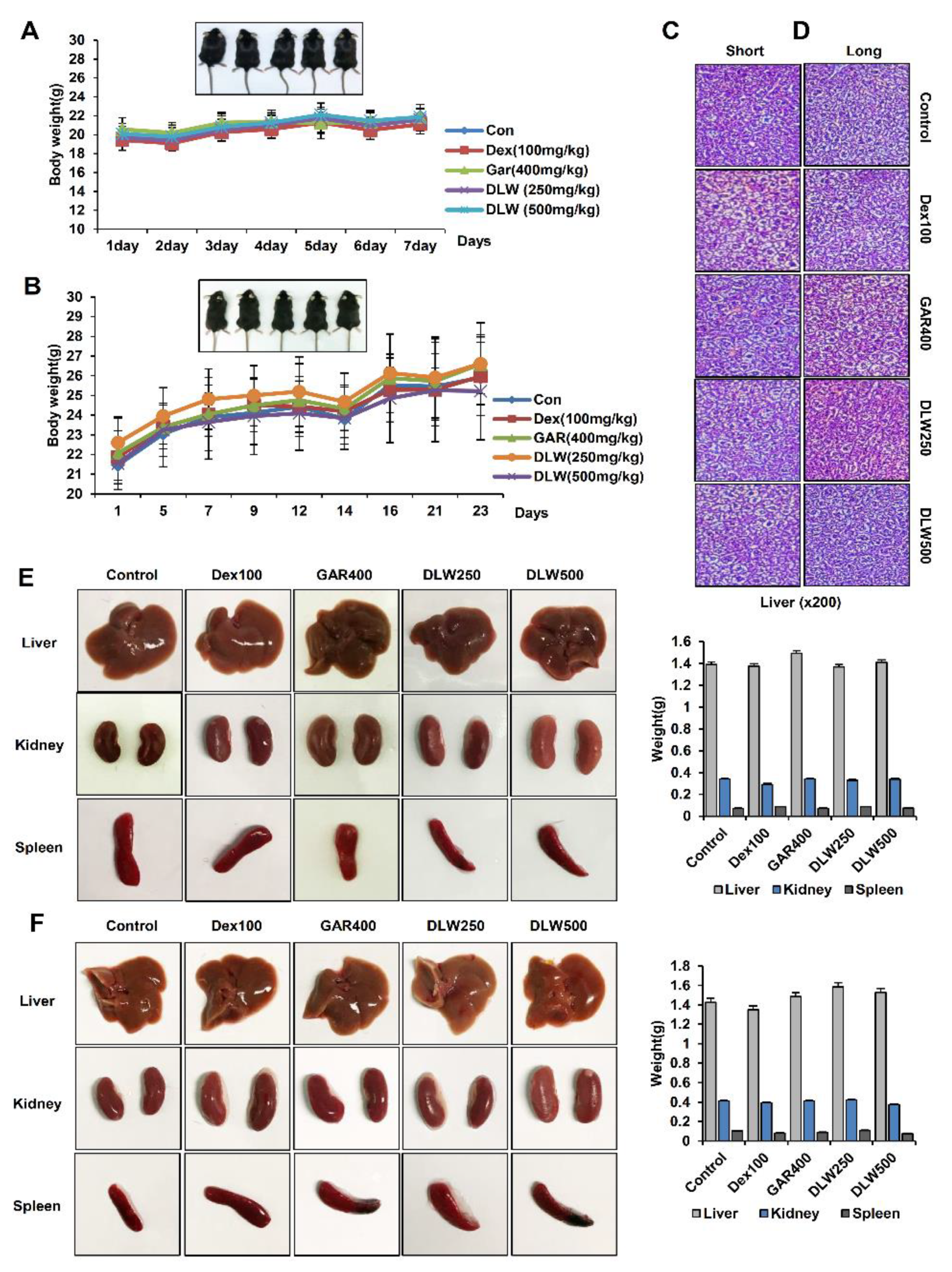 Nutrients 13 01424 g001 Nutrients 13 01424 g001