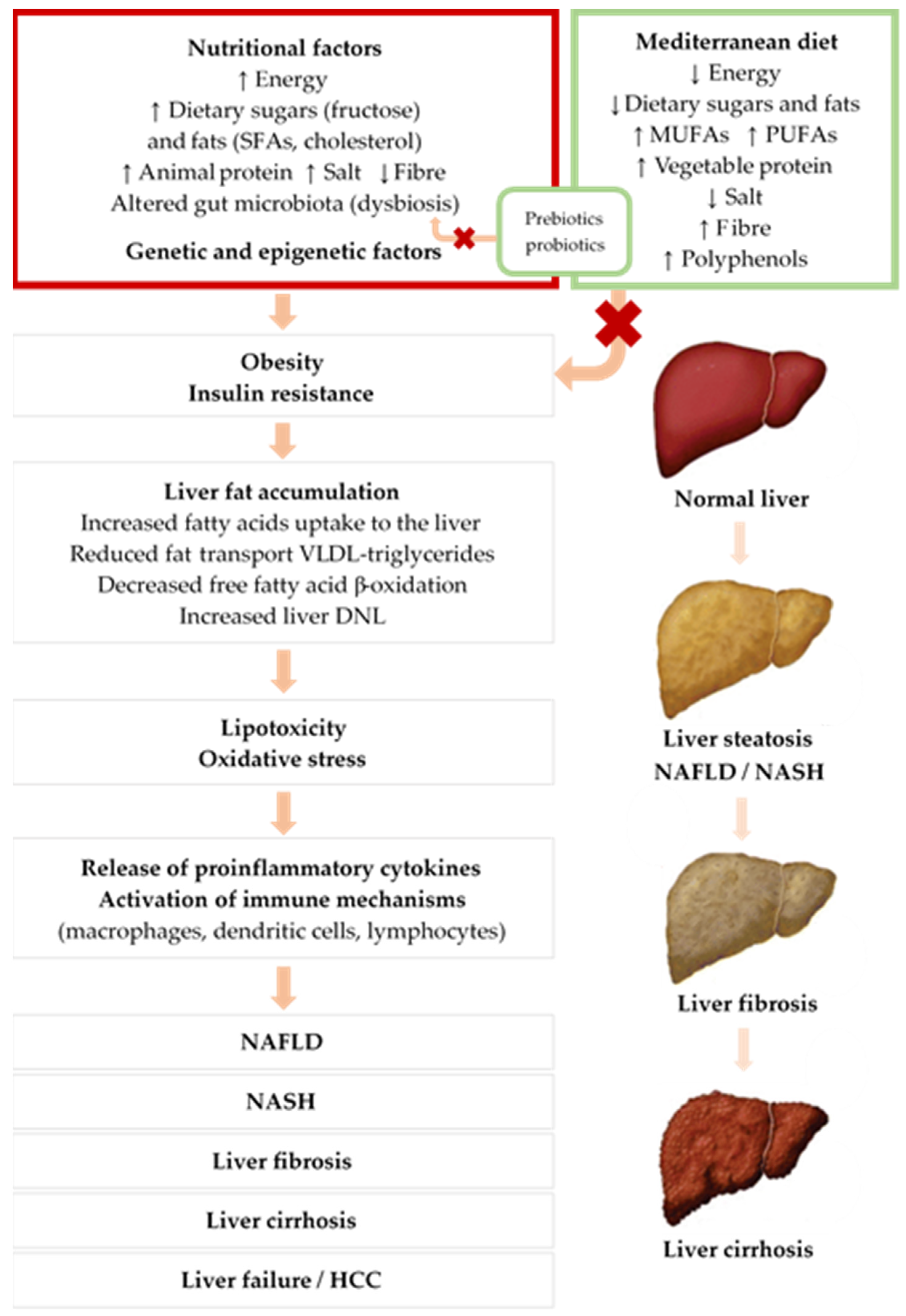 Nutrients 13 01442 g001