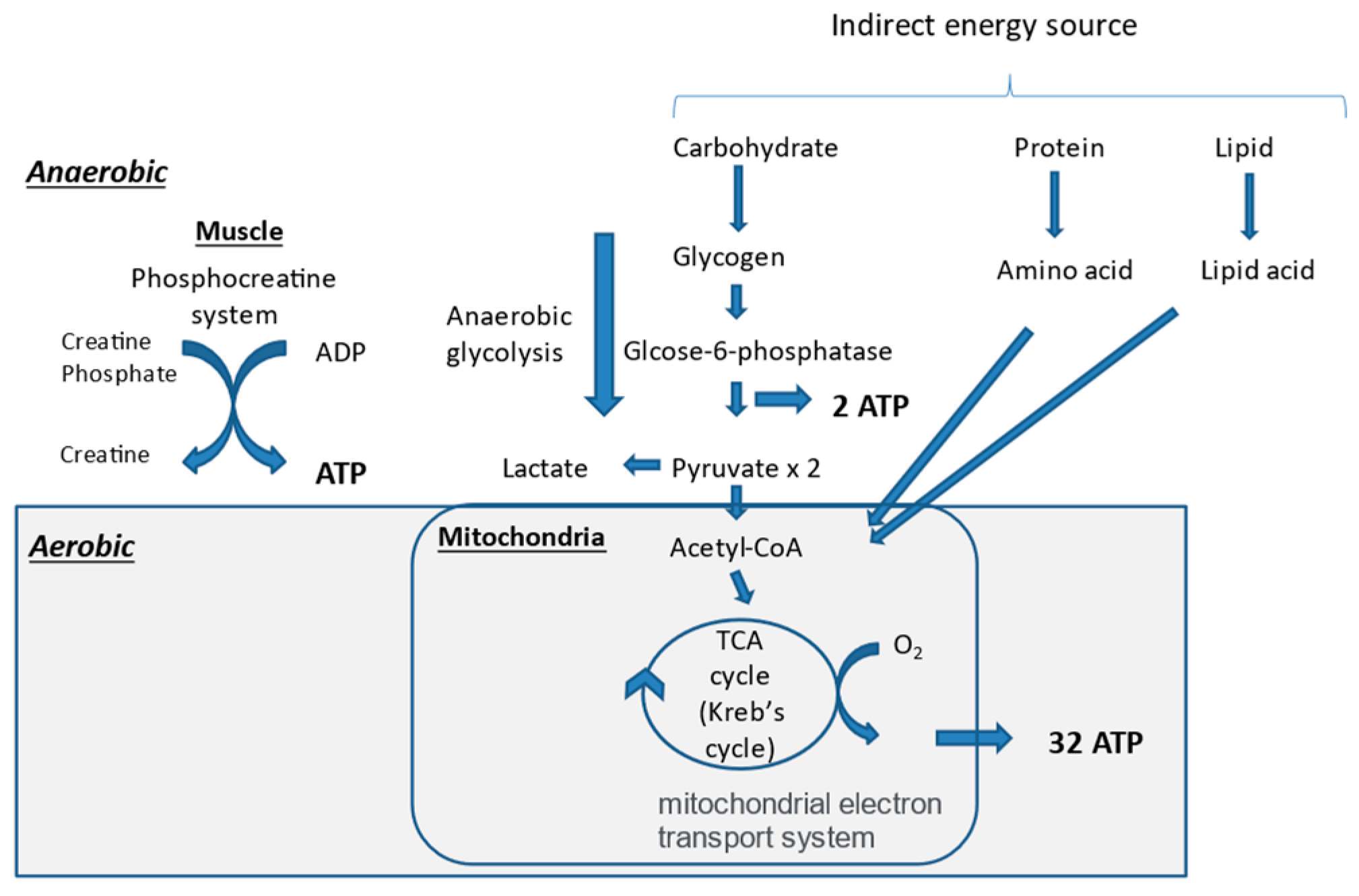 Nutrients 13 01444 g002