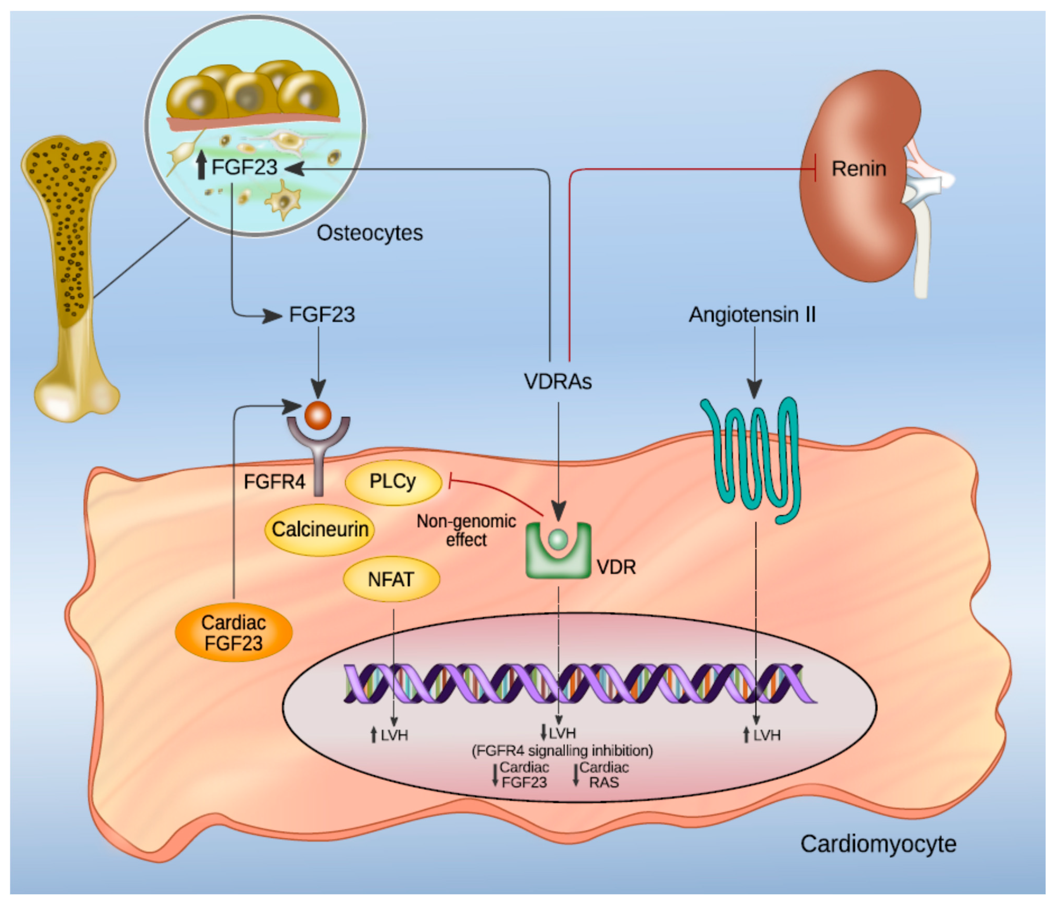 Nutrients 13 01453 g002