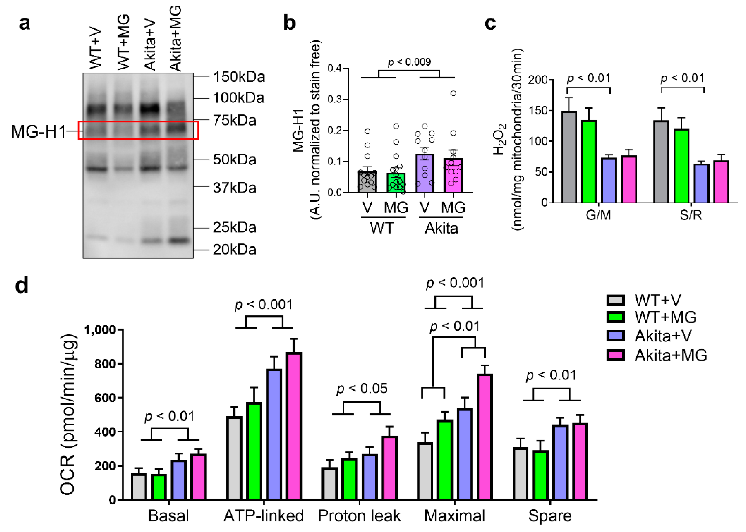 Nutrients 13 01457 g004
