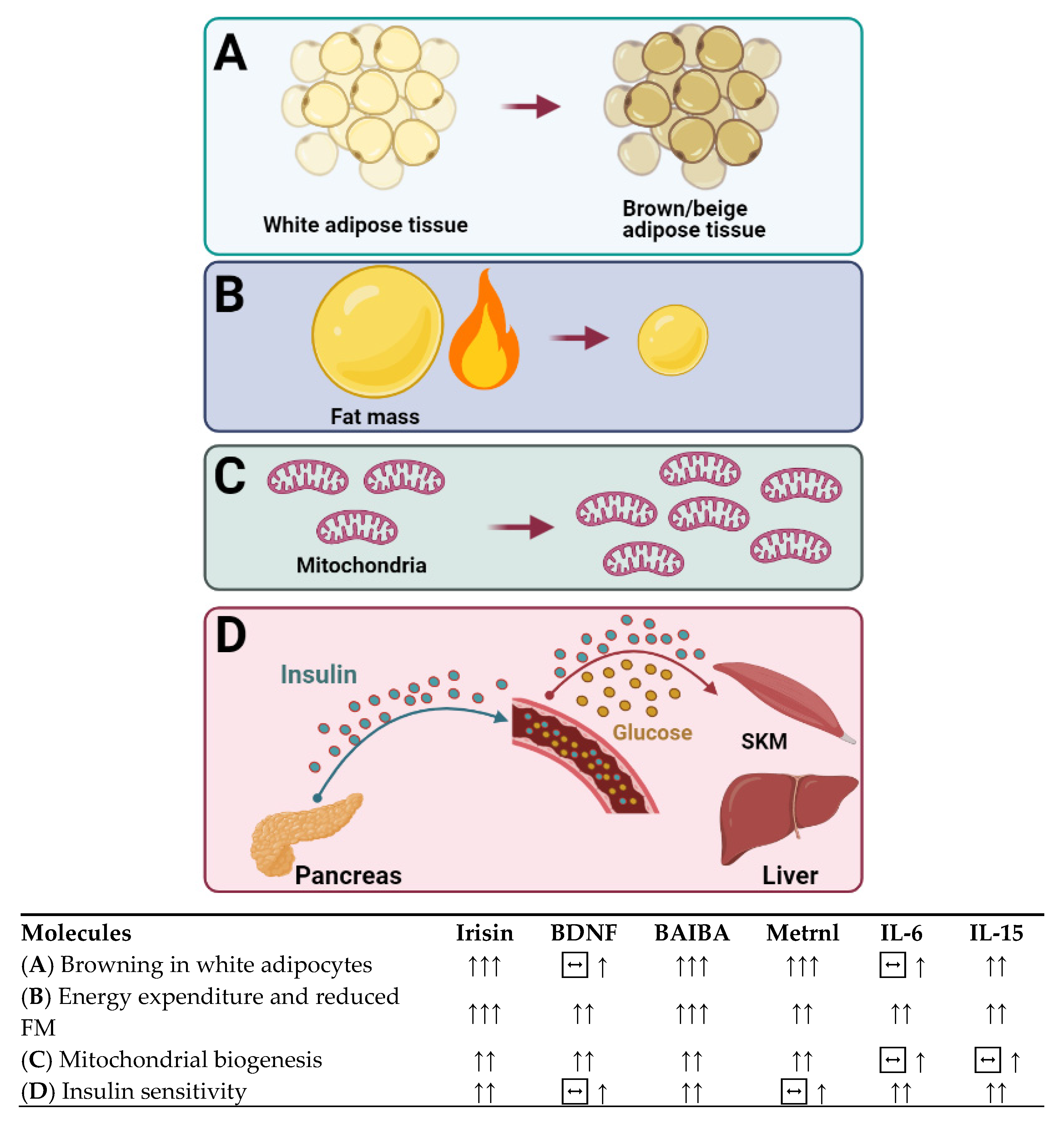 Nutrients 13 01459 g001 Nutrients 13 01459 g001