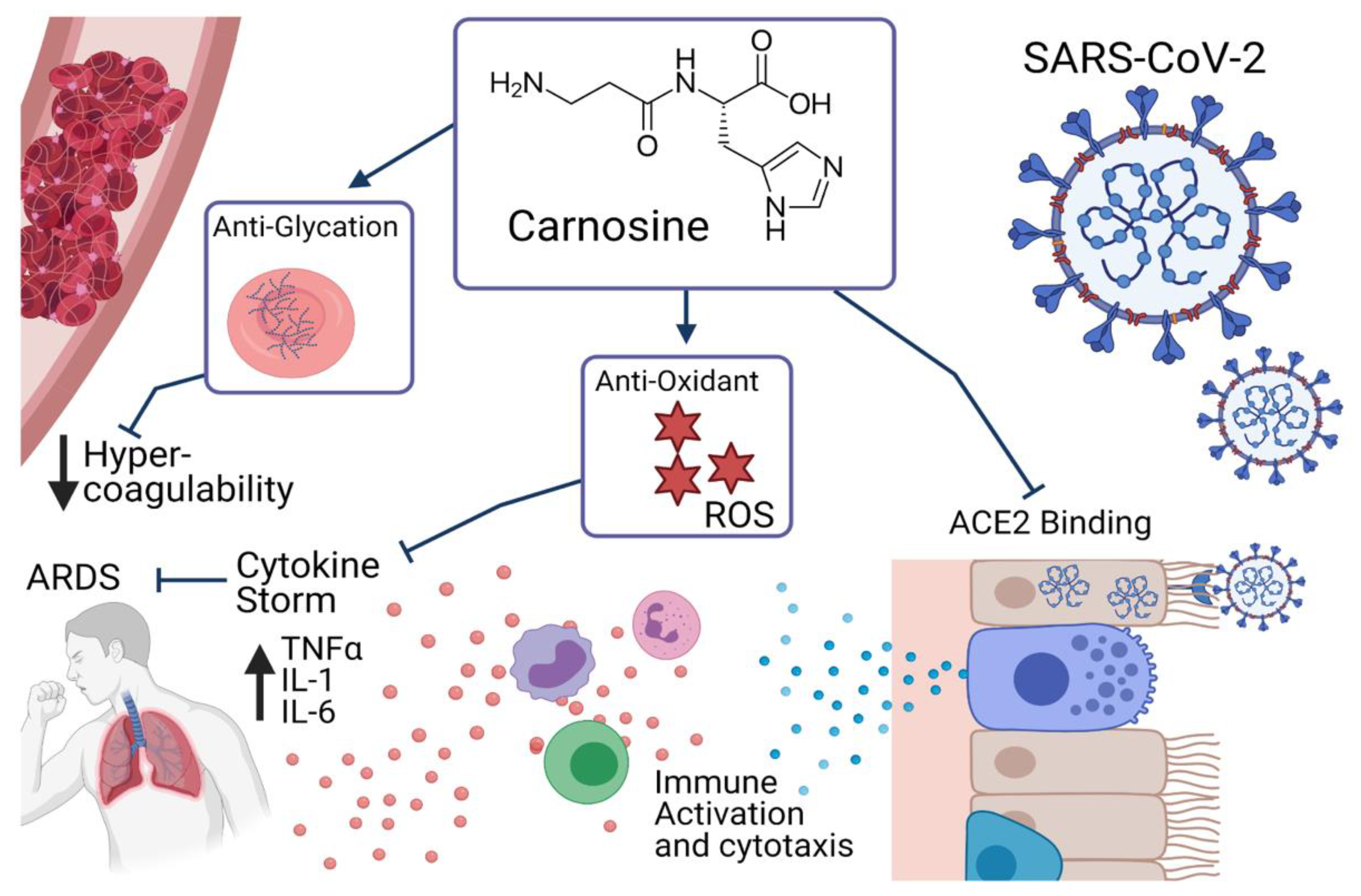 Nutrients 13 01463 g001