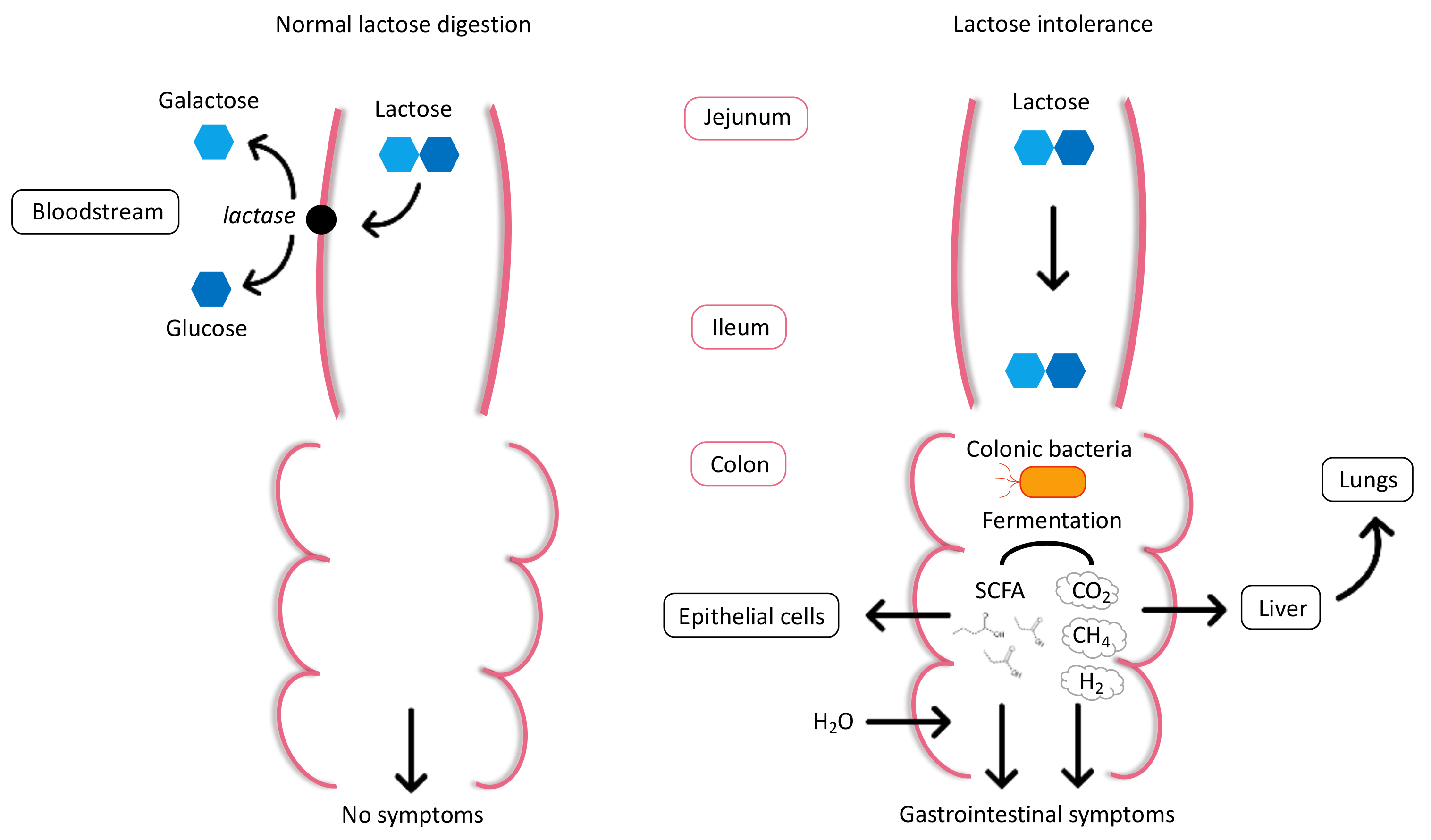 Nutrients 13 01503 g001