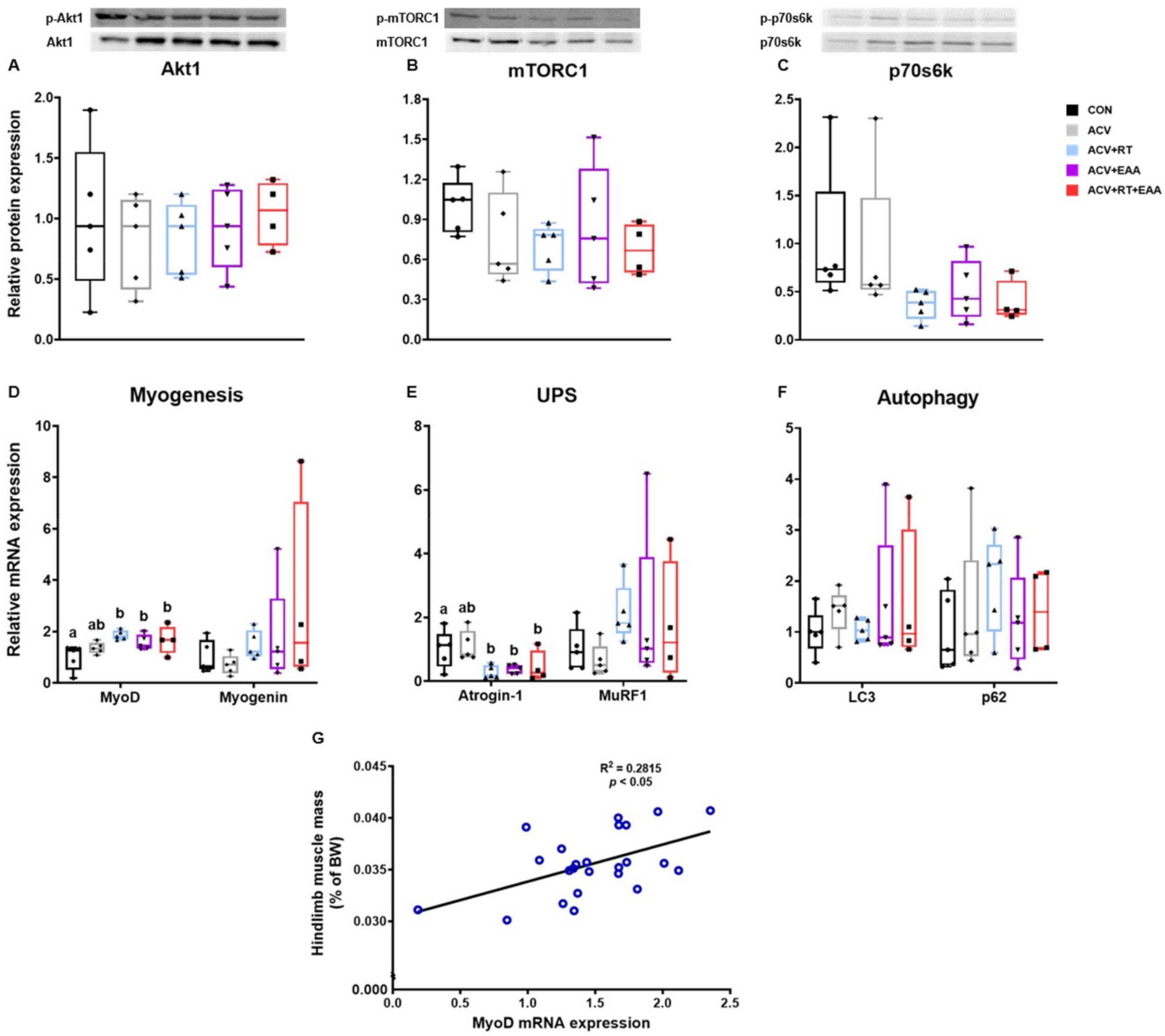Nutrients 13 01508 g003