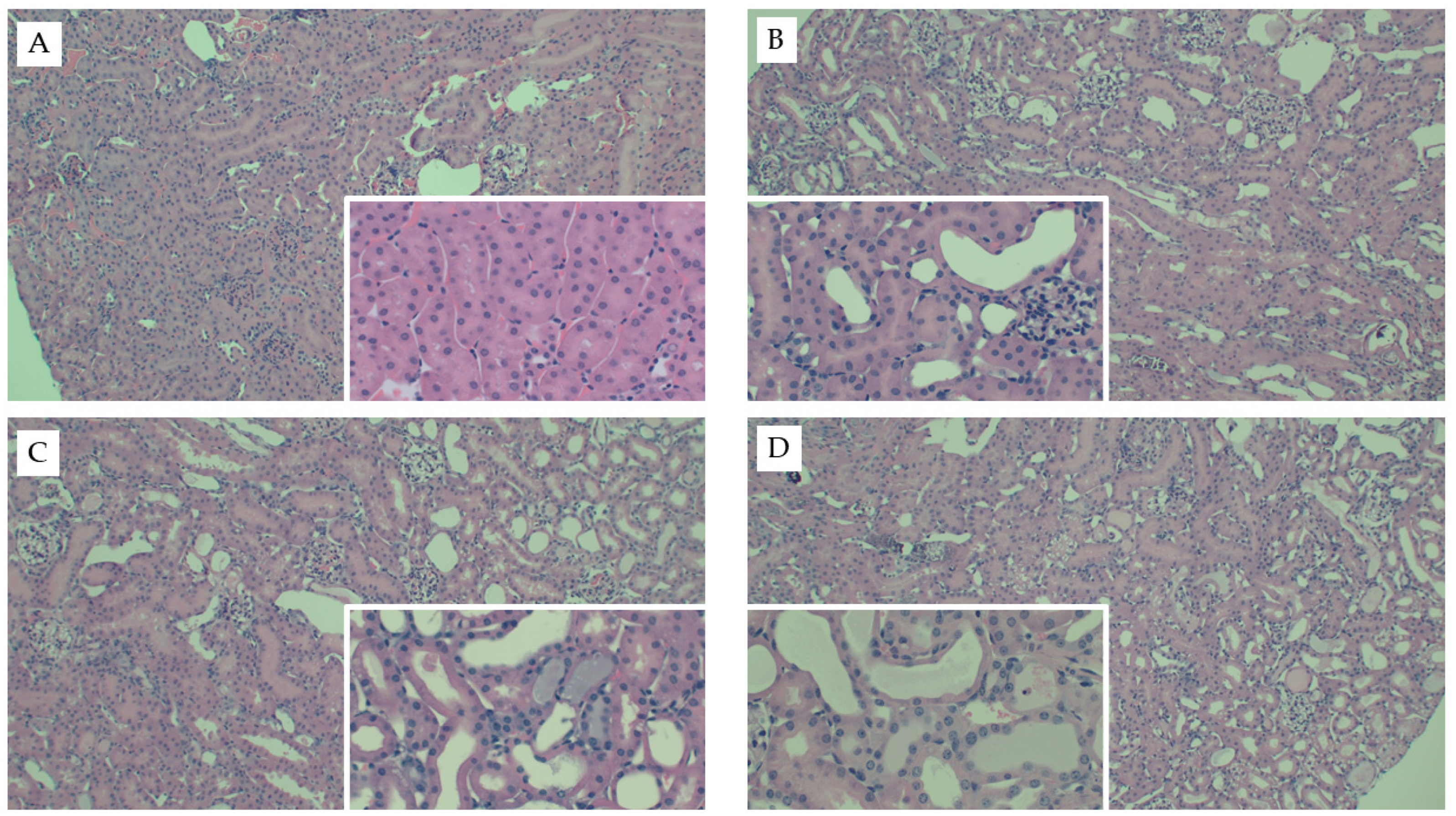 Nutrients 13 01521 g001