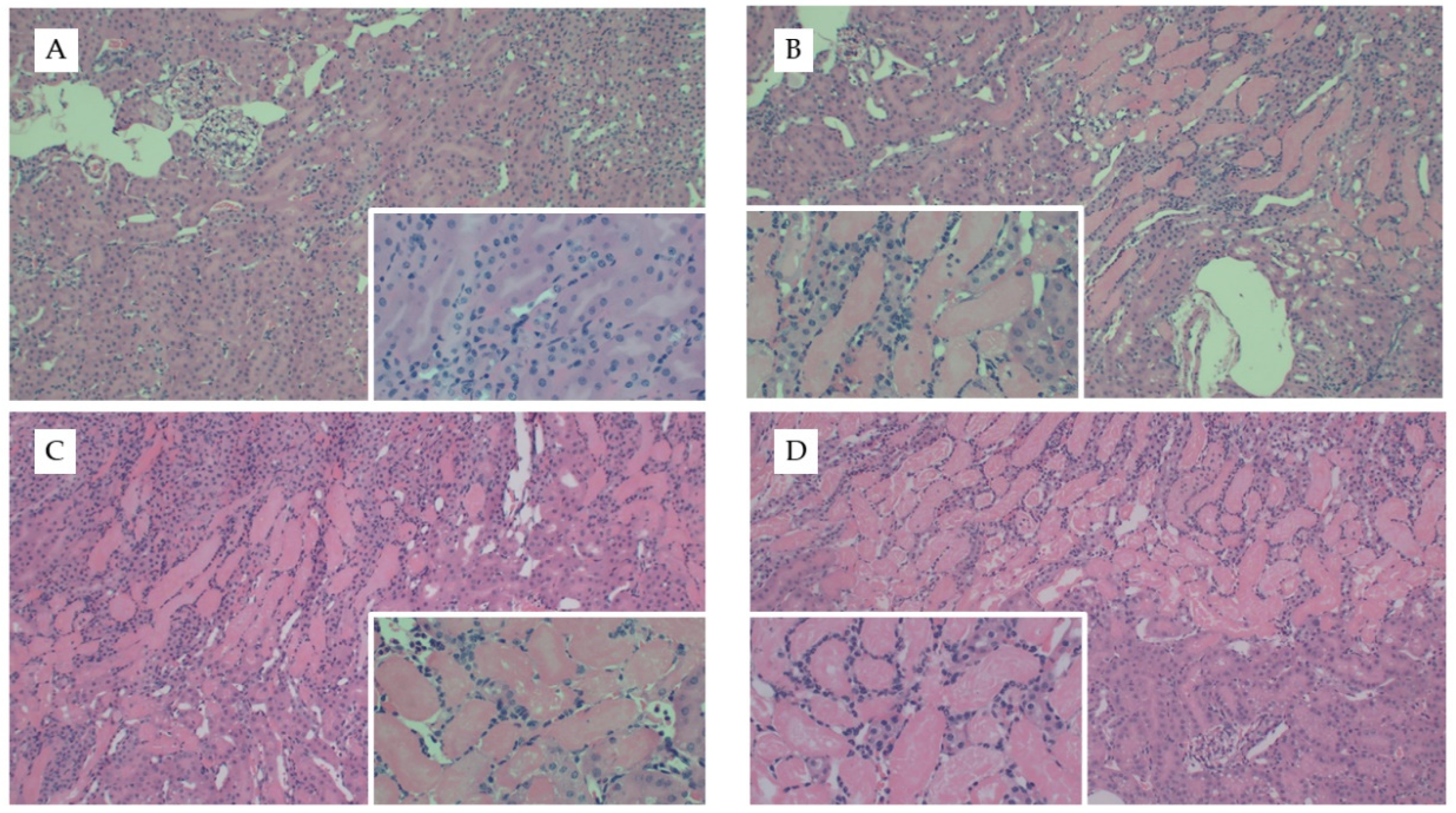 Nutrients 13 01521 g004