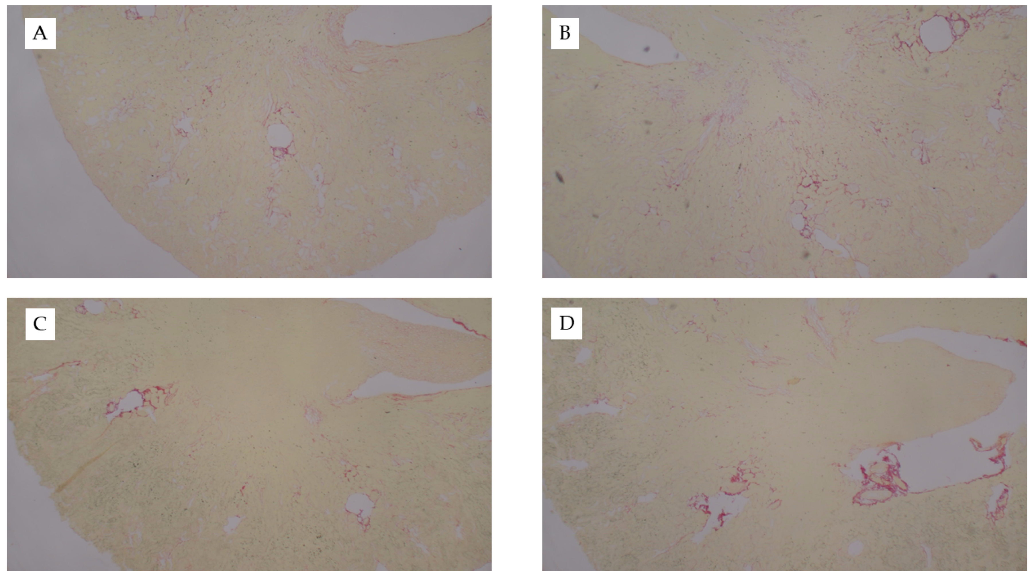 Nutrients 13 01521 g0a2