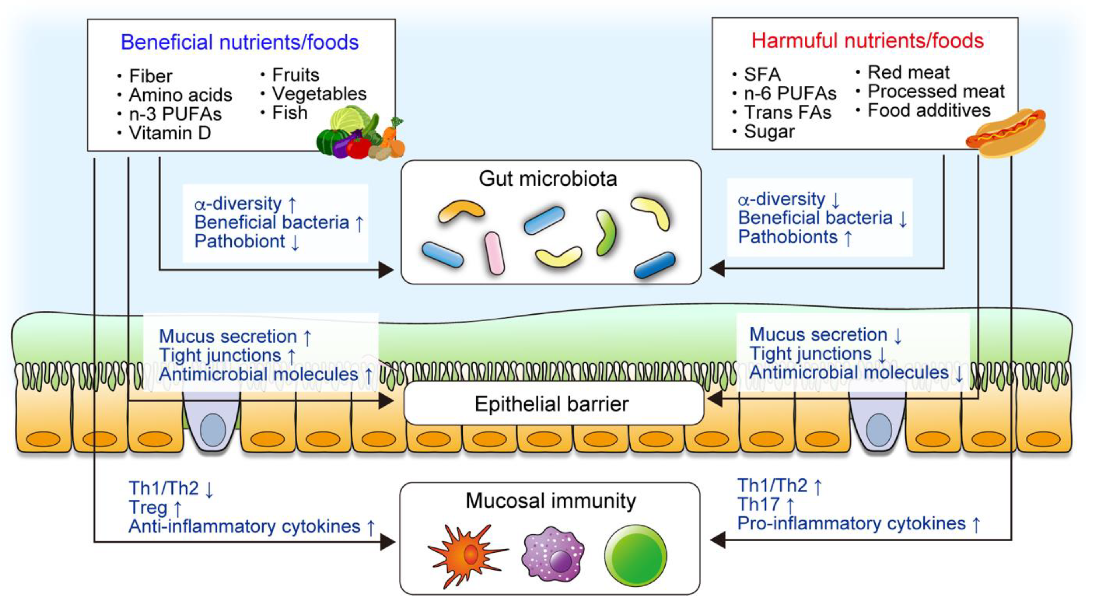 Nutrients 13 01533 g001