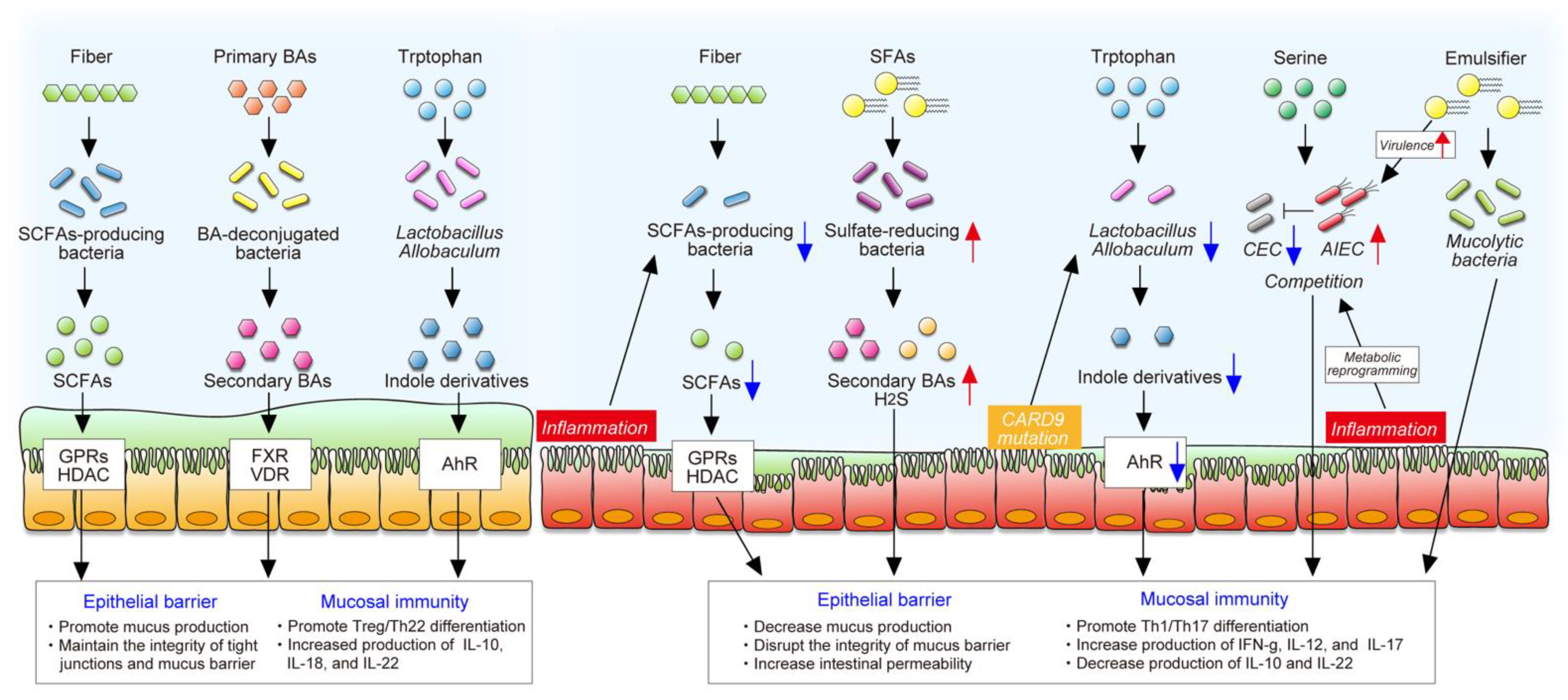 Nutrients 13 01533 g003
