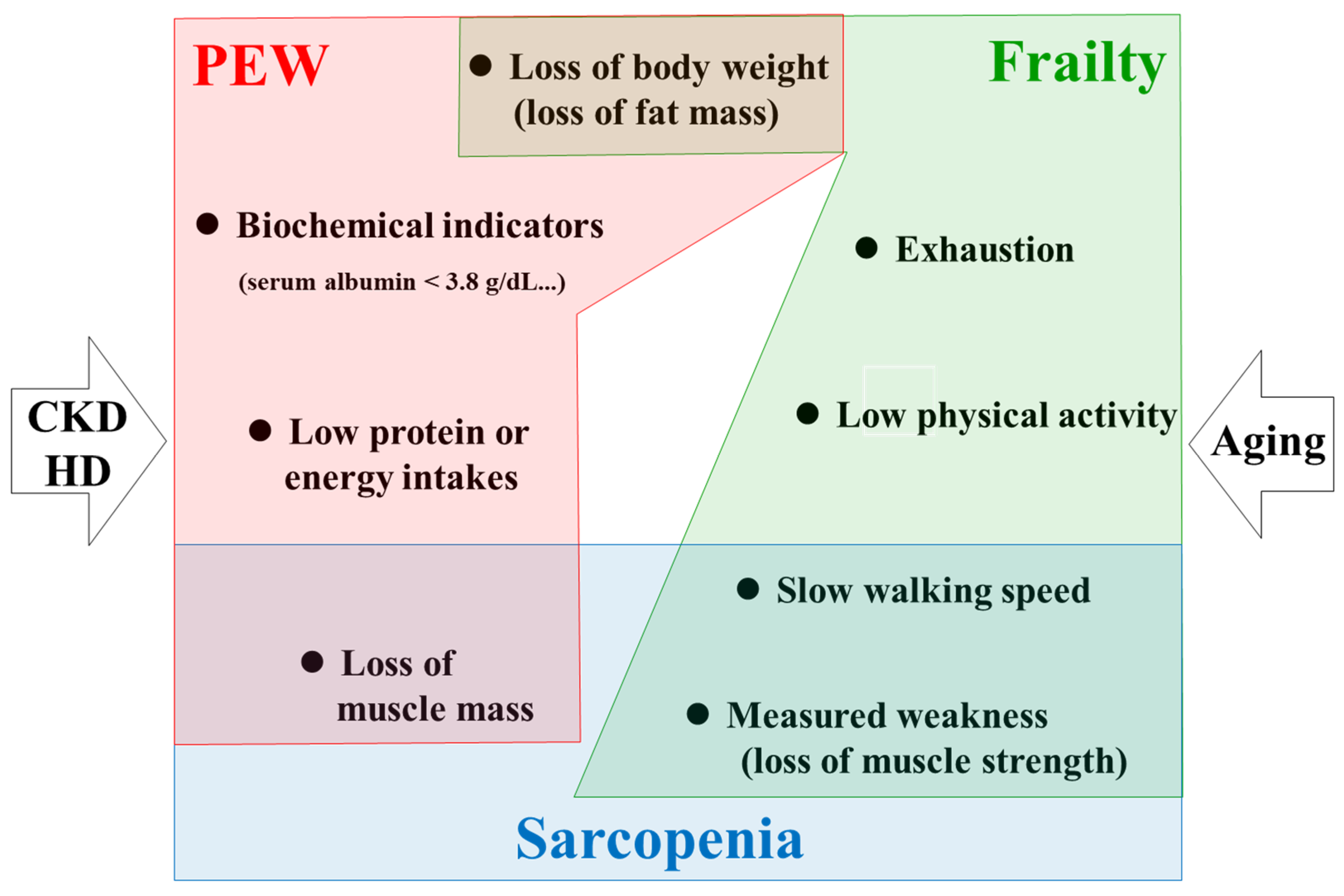 Nutrients 13 01538 g001