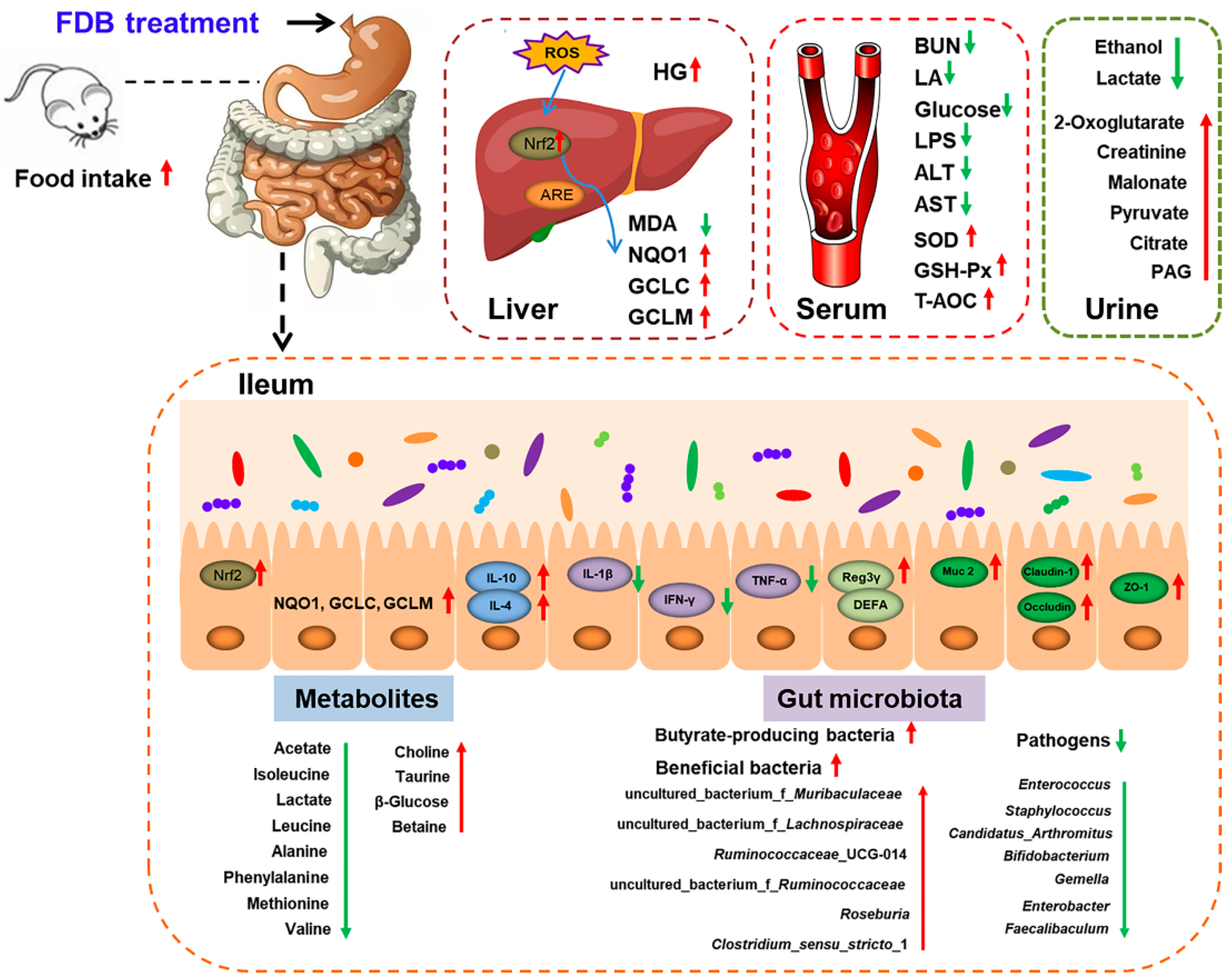 Nutrients 13 01543 g006 Nutrients 13 01543 g006