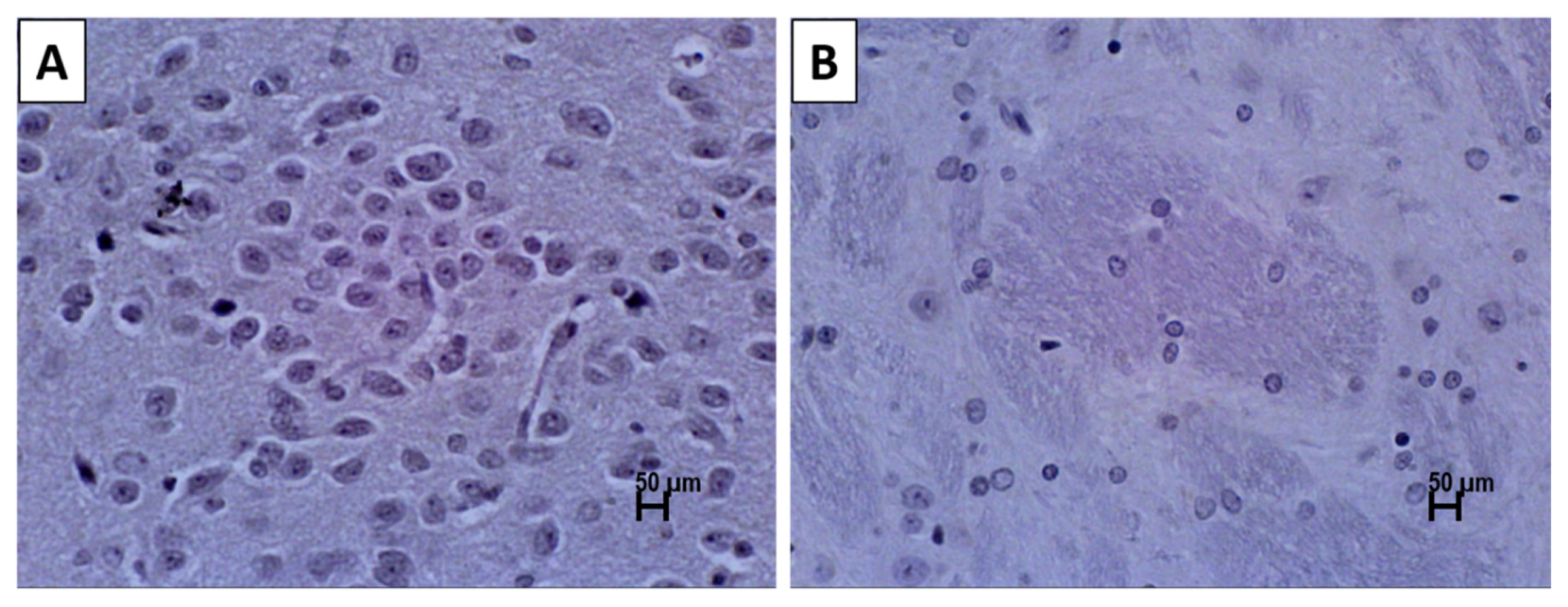 Nutrients 13 01583 g003