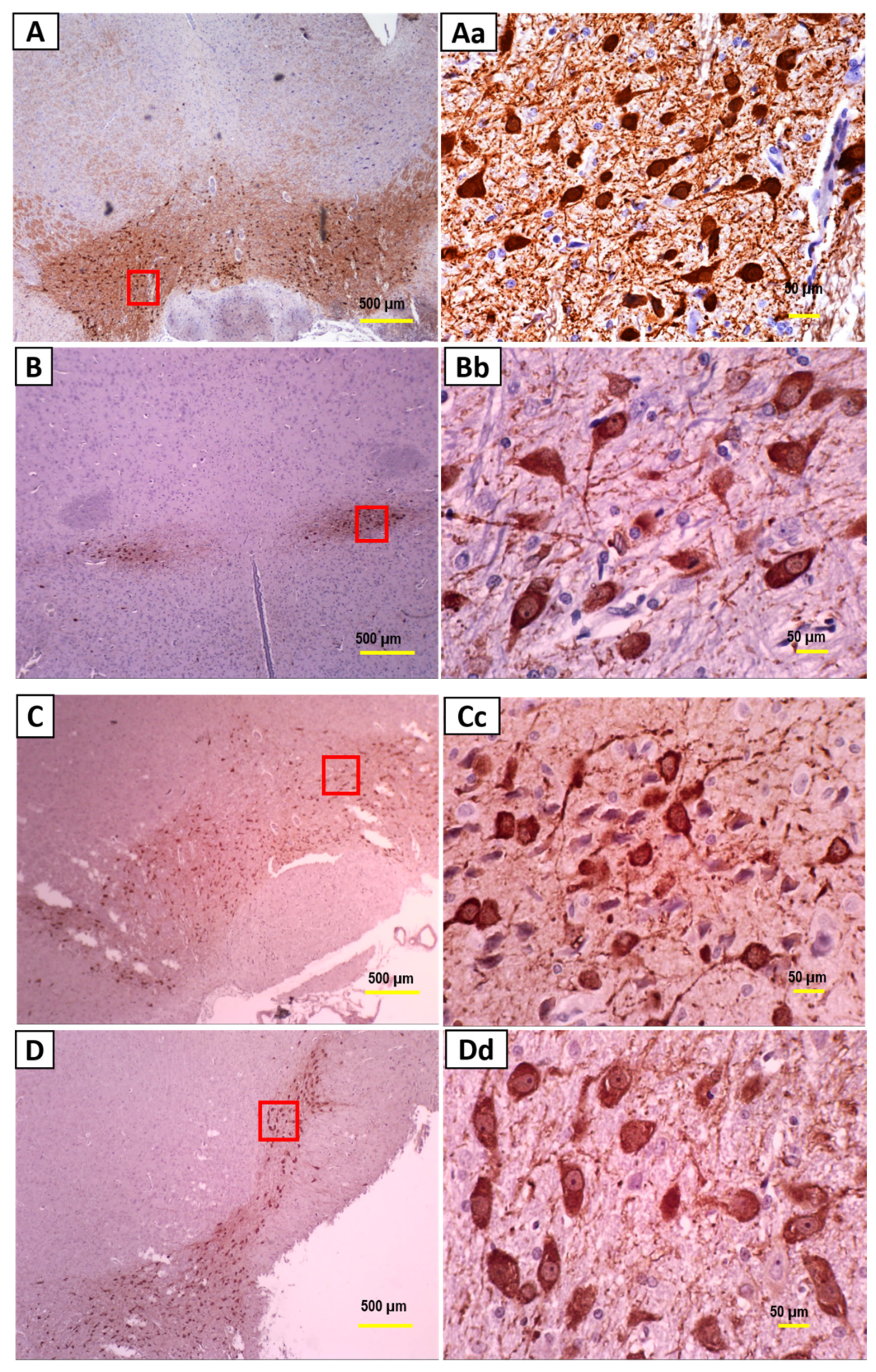 Nutrients 13 01583 g004