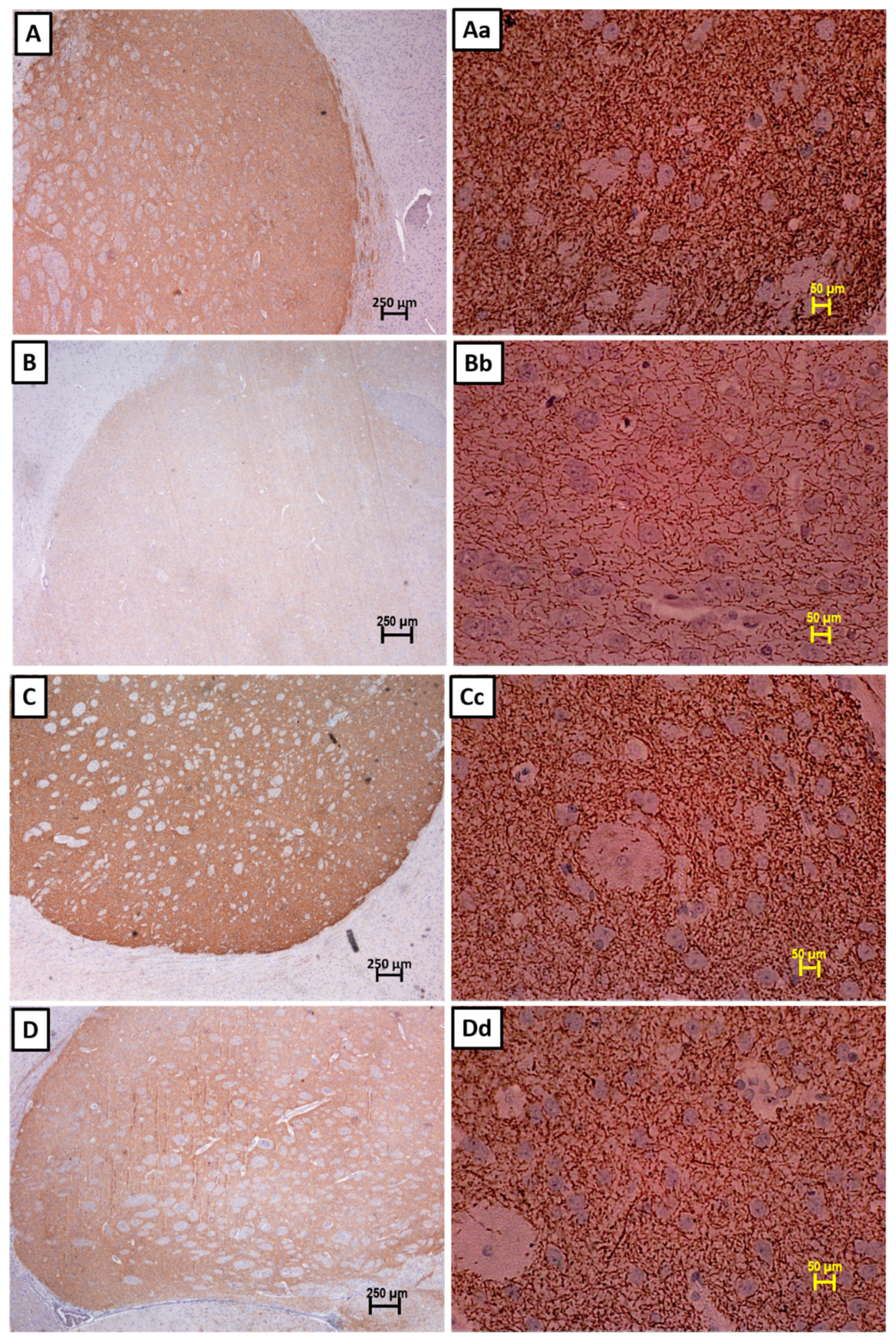 Nutrients 13 01583 g006