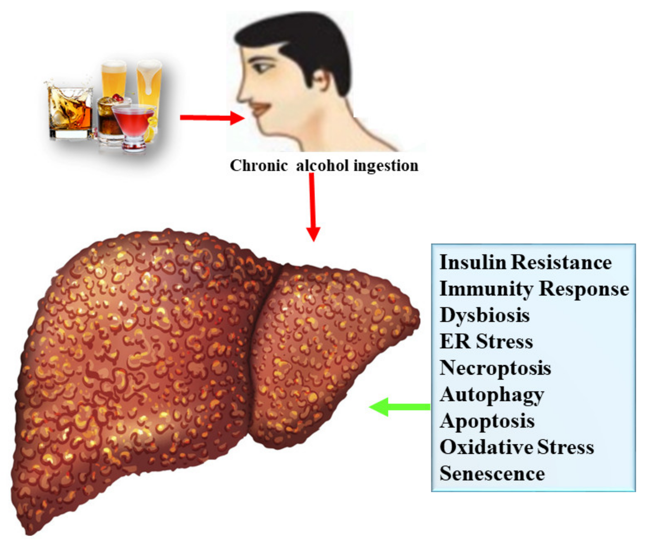 Nutrients 13 01612 g002 Nutrients 13 01612 g002