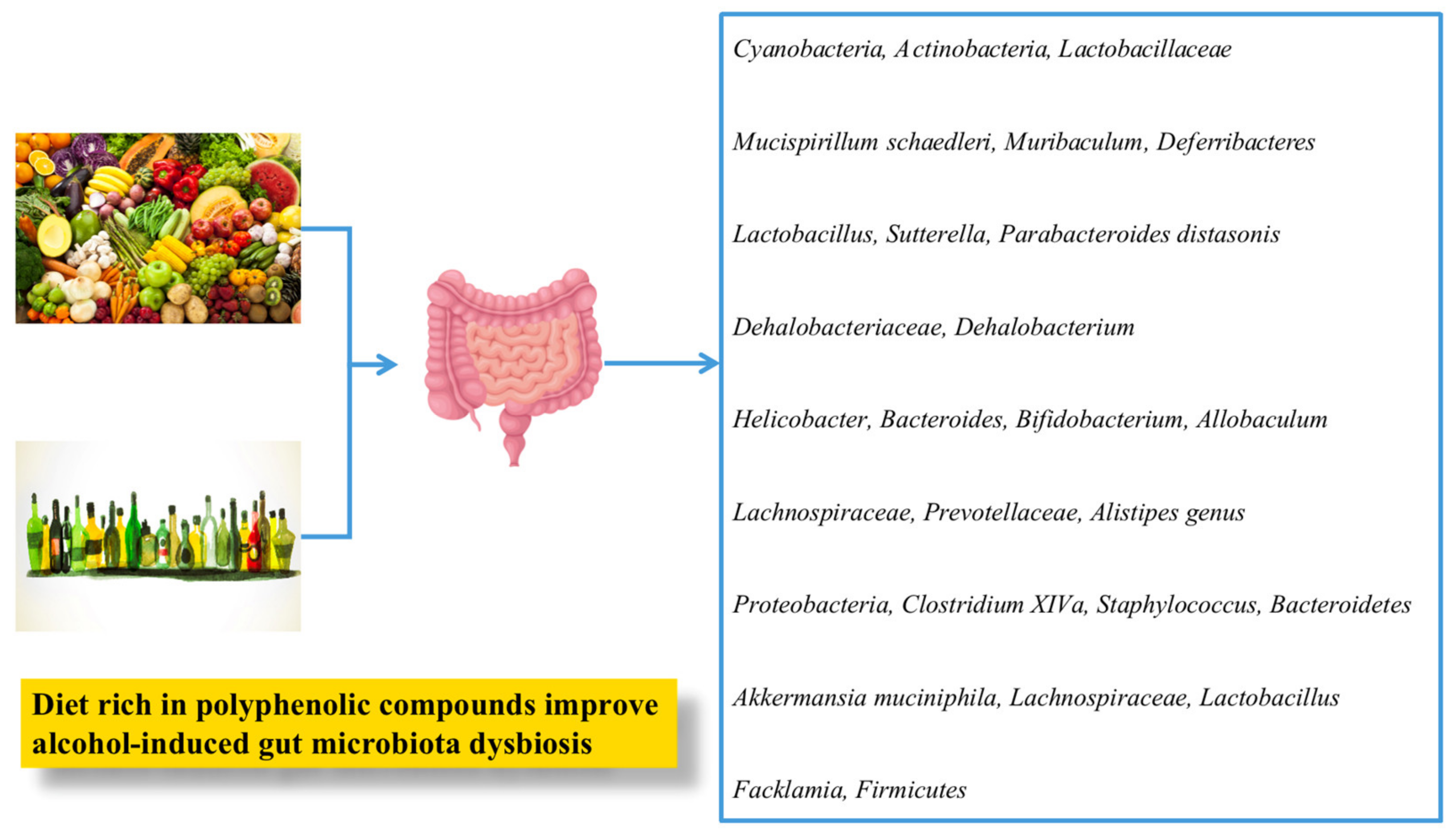 Nutrients 13 01612 g003 Nutrients 13 01612 g003