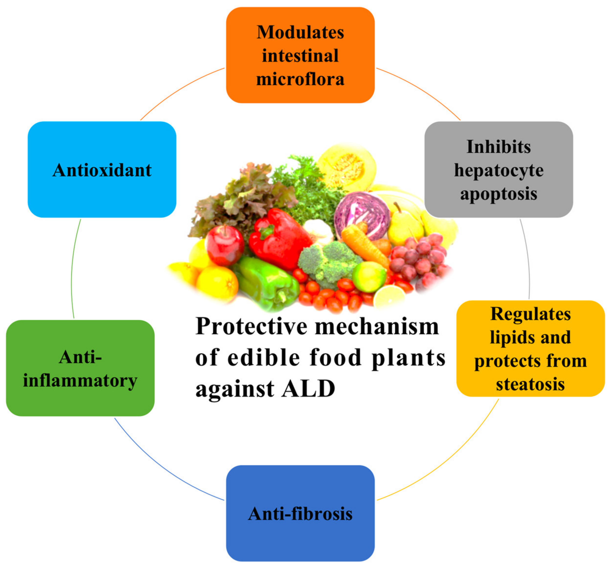 Nutrients 13 01612 g004 Nutrients 13 01612 g004